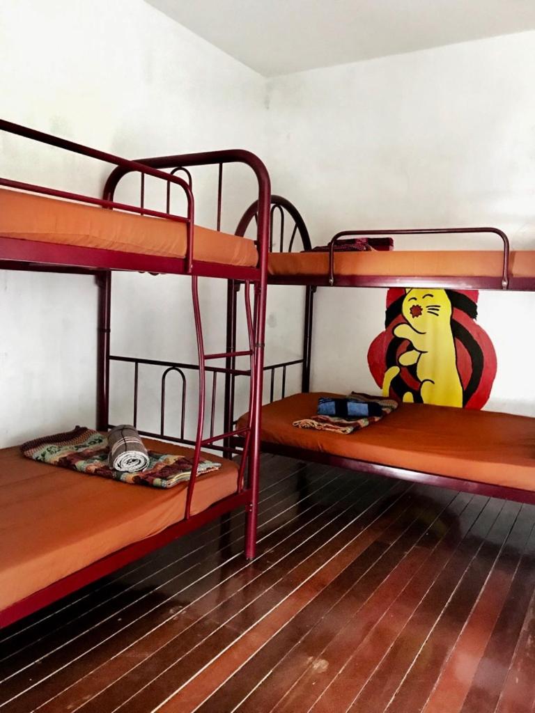 Bunk Bed in Mixed Dormitory Room photo 3
