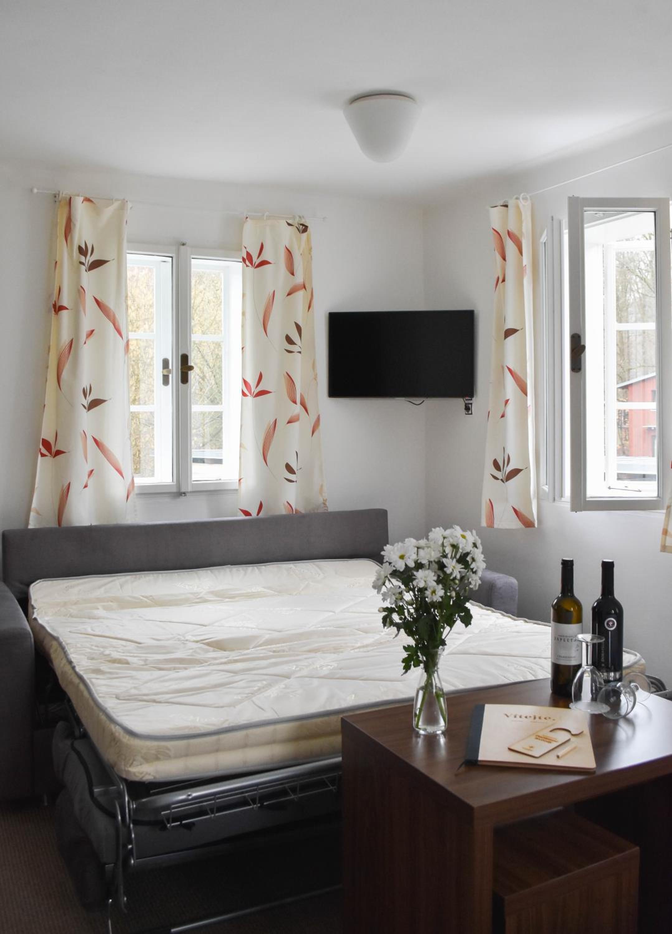 Double Room with Sofa Bed - Hajenka