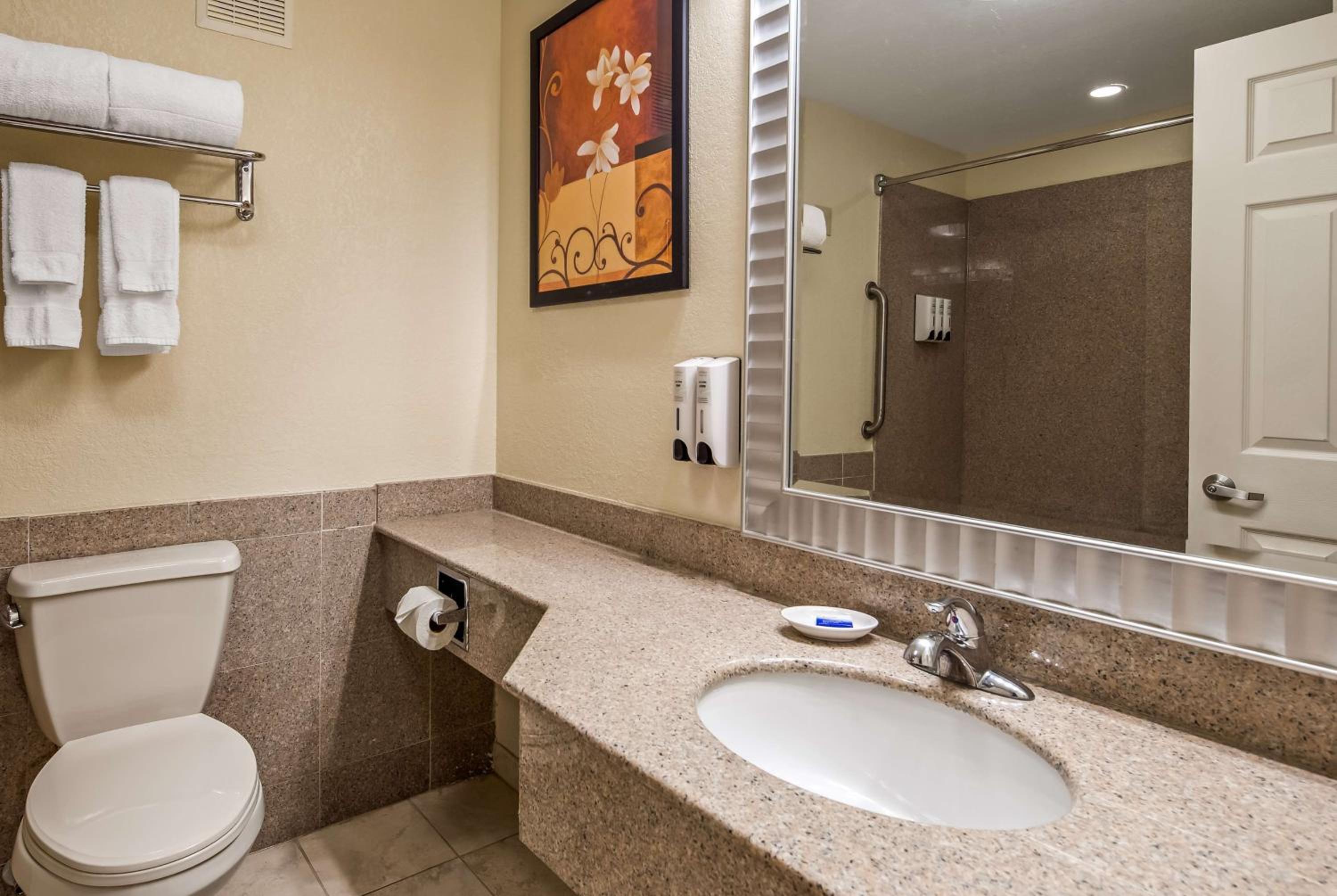 Luxury One-Bedroom King Suite -  Non-Smoking photo 3