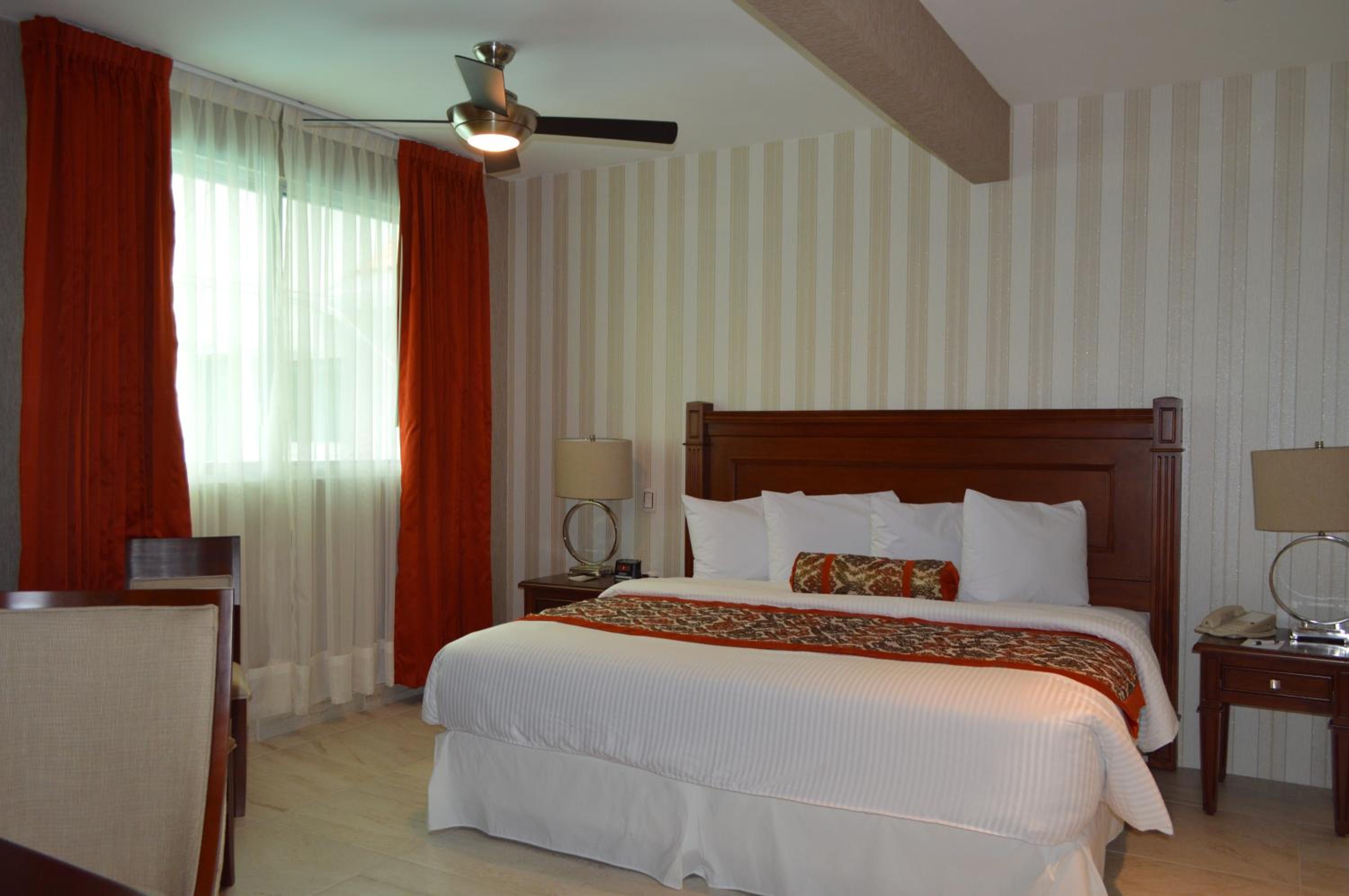 Deluxe Double or Twin Room photo 3