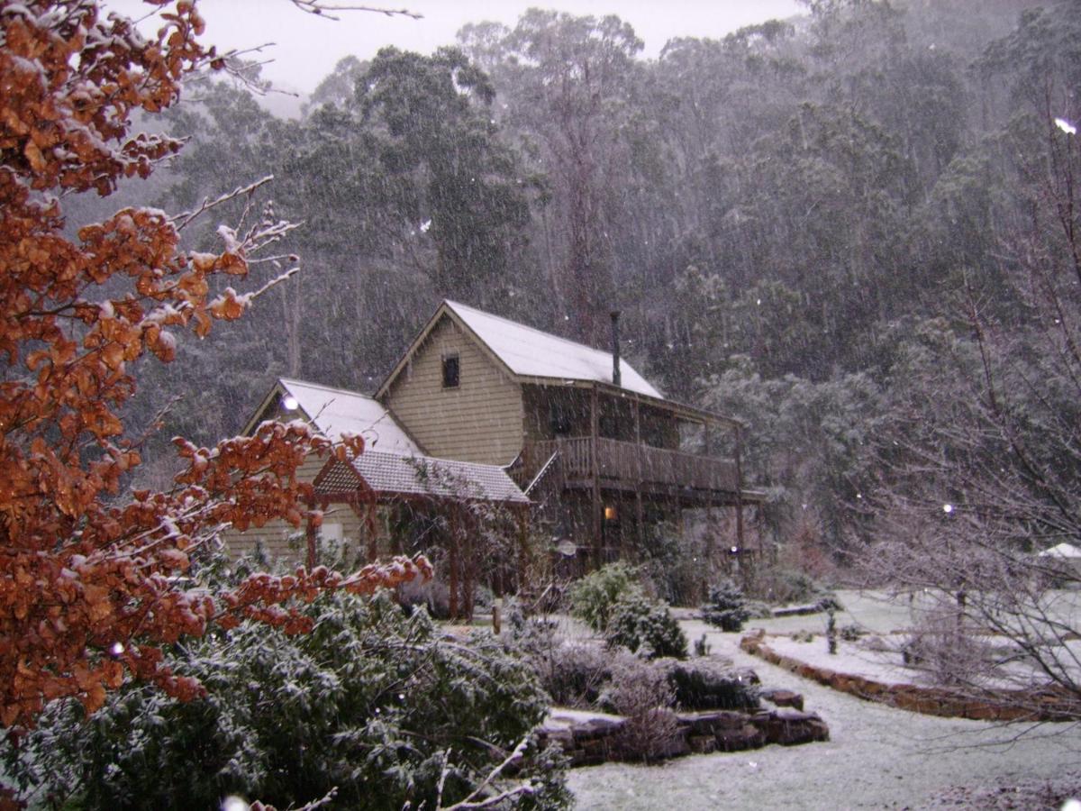 Superior Chalet photo 2