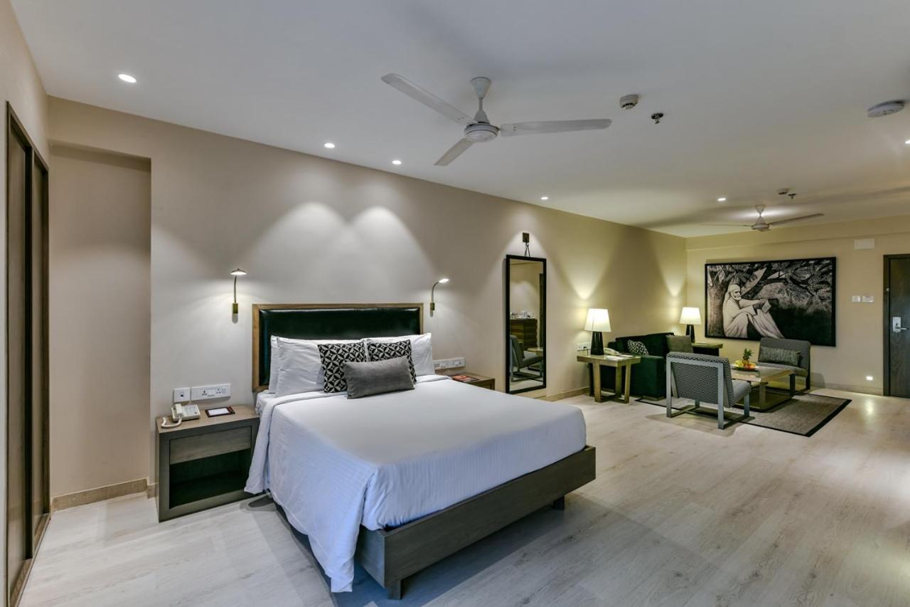 Studio Suite - Photo 1