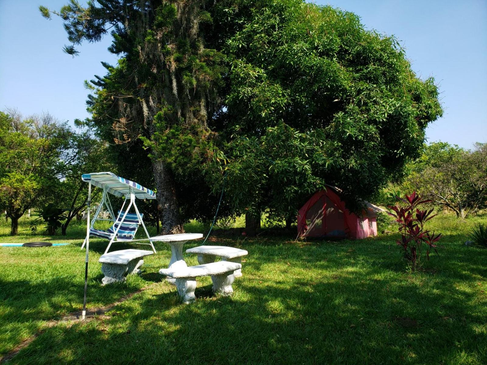 Deluxe Double or Twin Room with Garden View photo 1