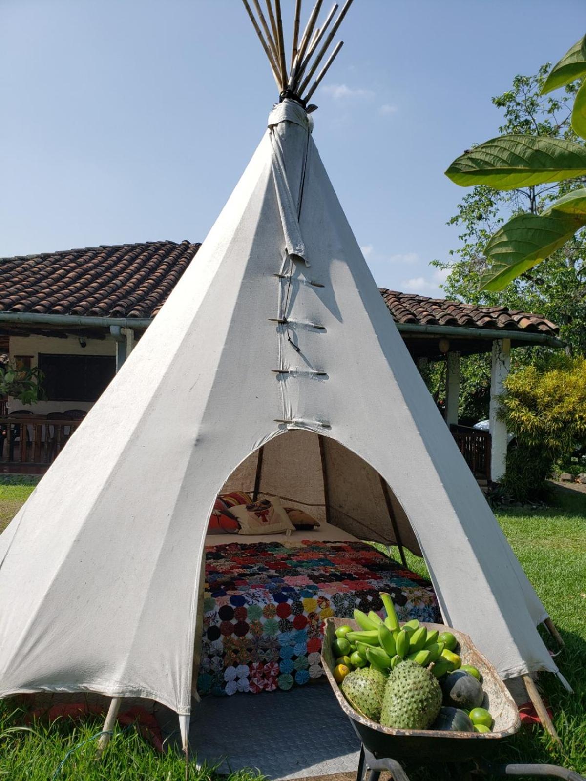 Tent photo 3