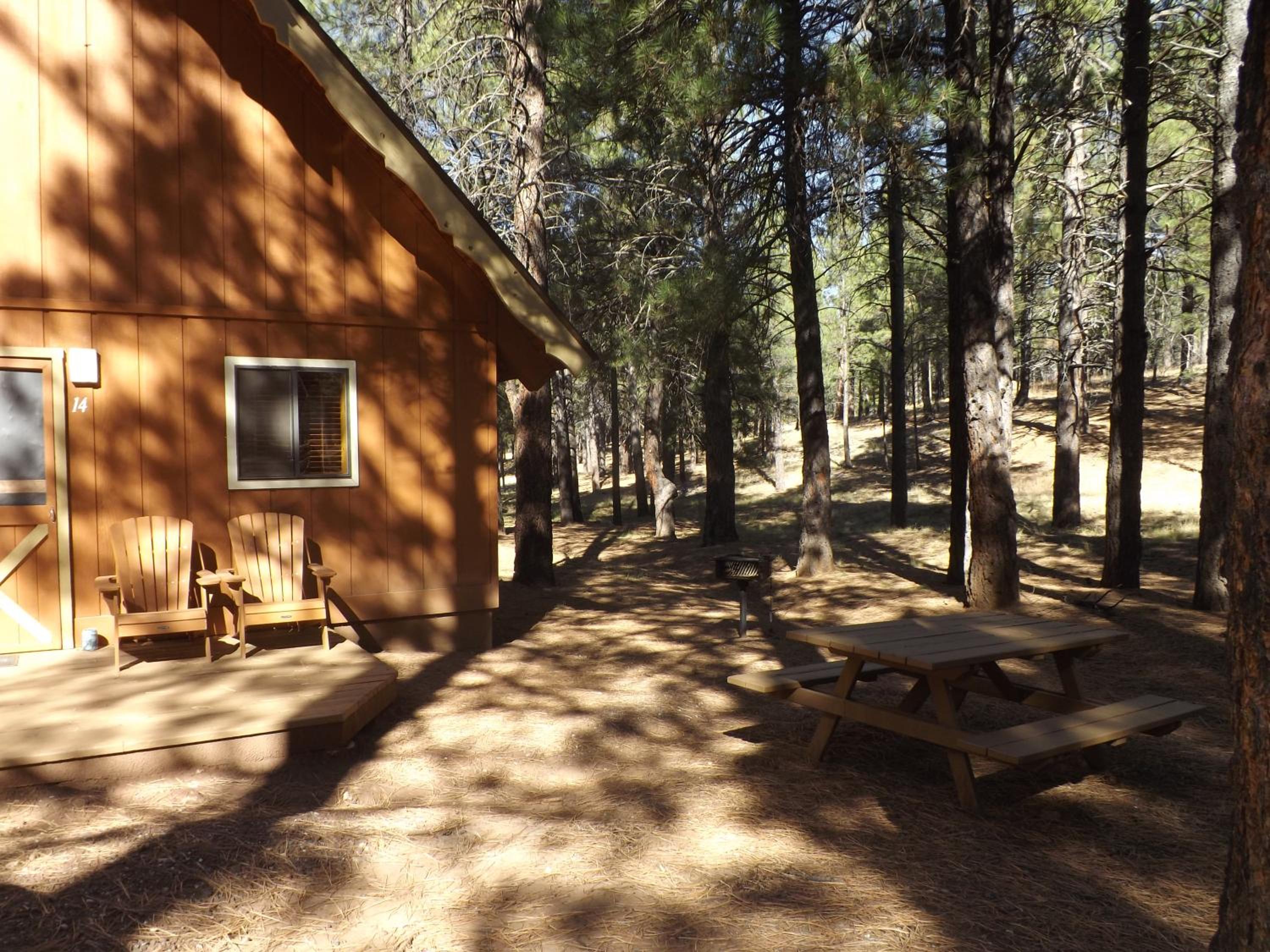 Cabin 14 photo 2