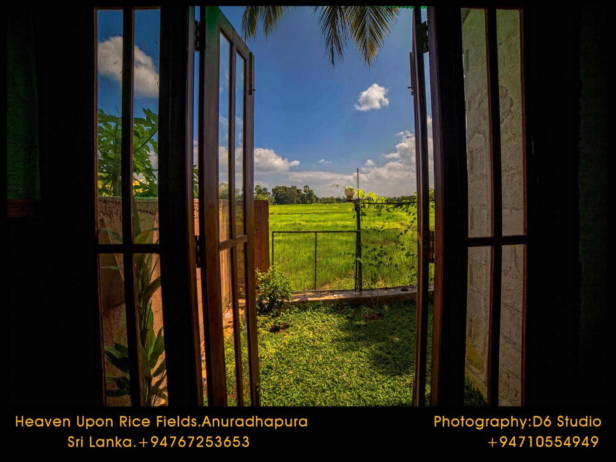 Double Room with Patio photo 2