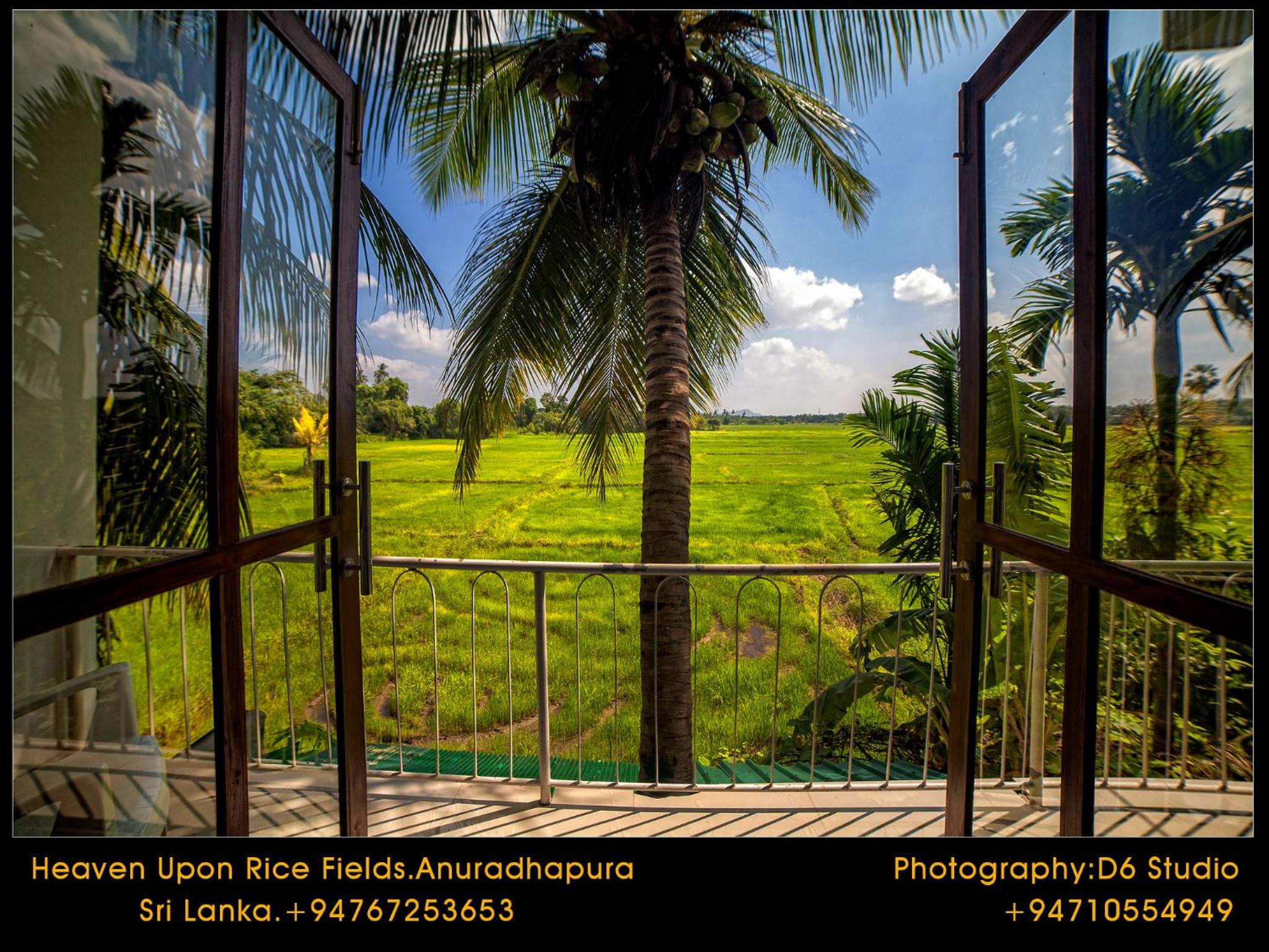 Deluxe Double Room with Balcony & Rice Paddy View photo 3