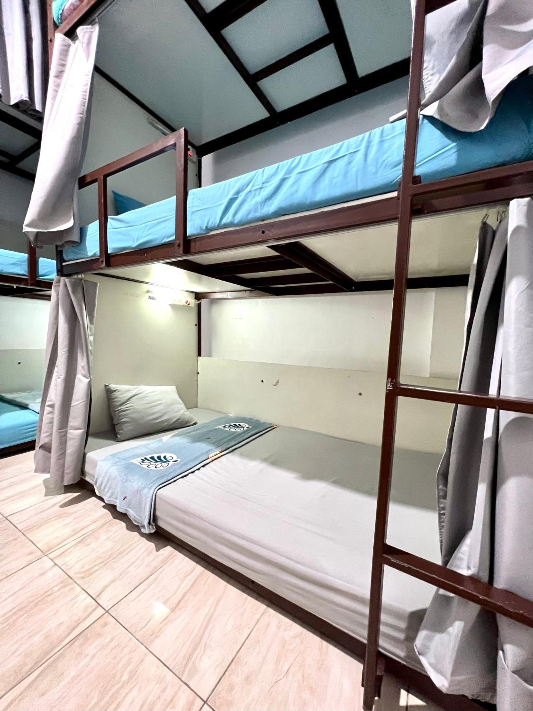 Bunk Bed in Male Dormitory Room photo 1