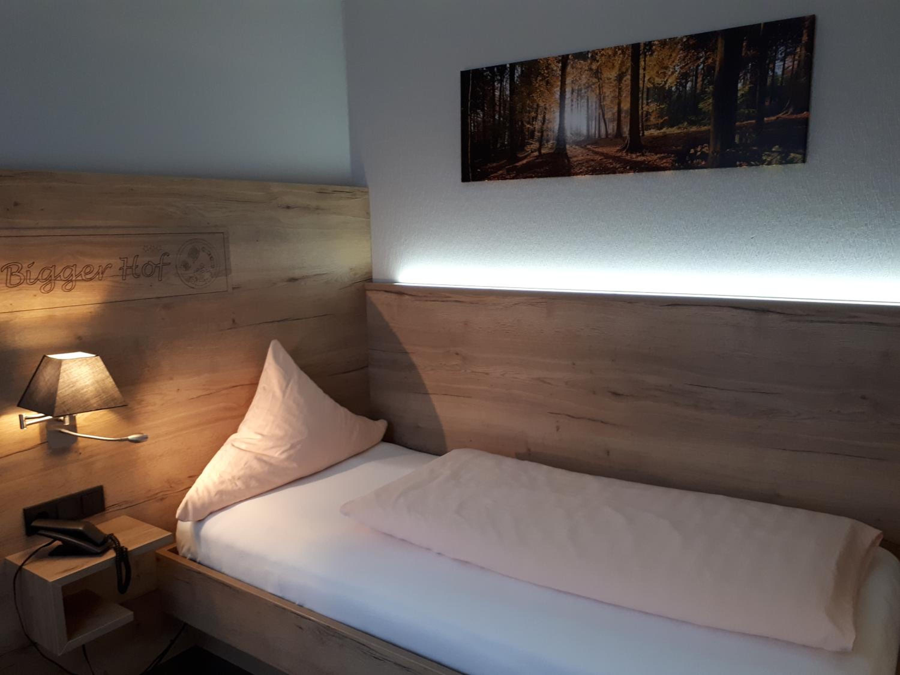 Standard Single Room photo 3