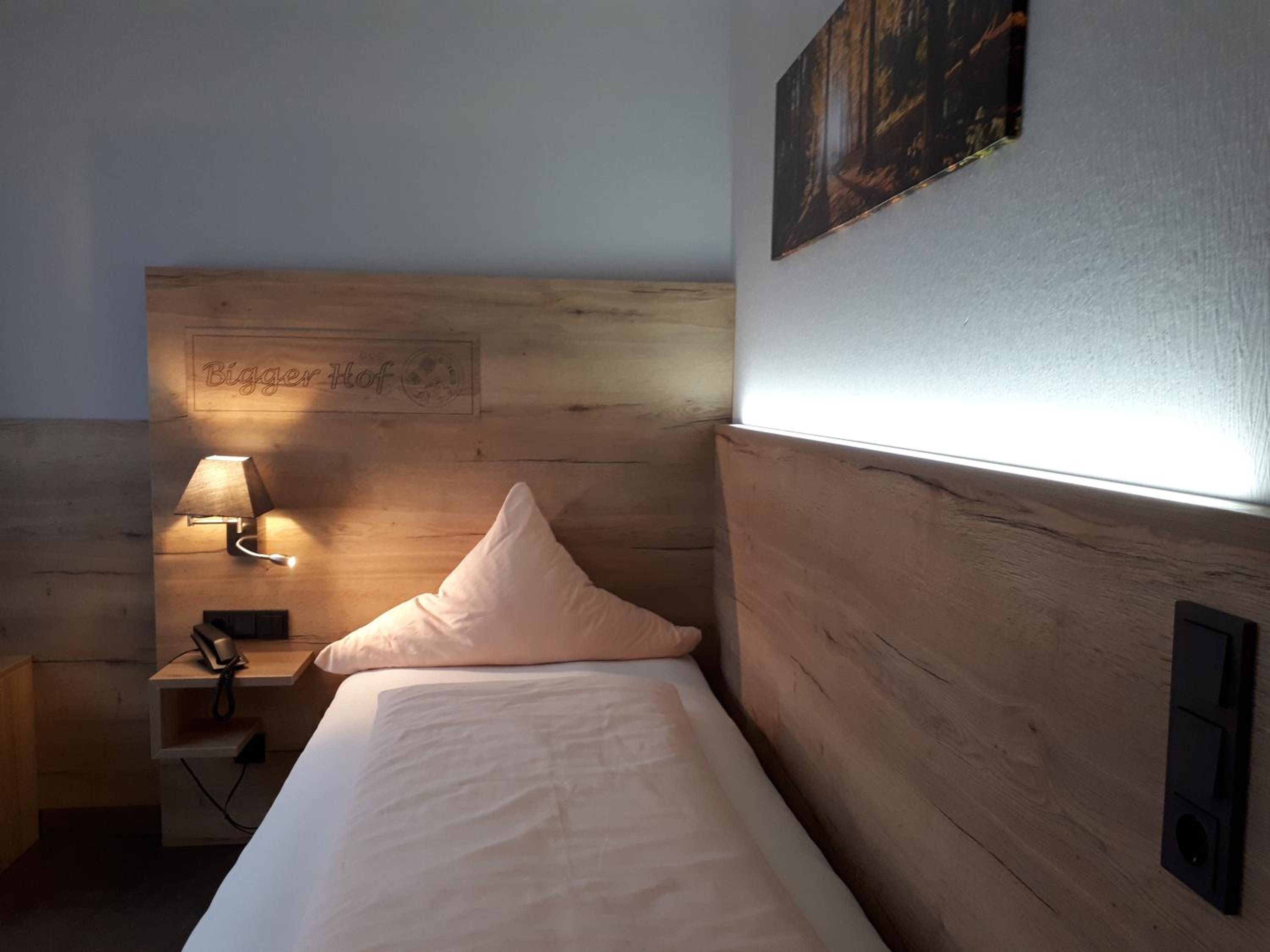 Single Room photo 2