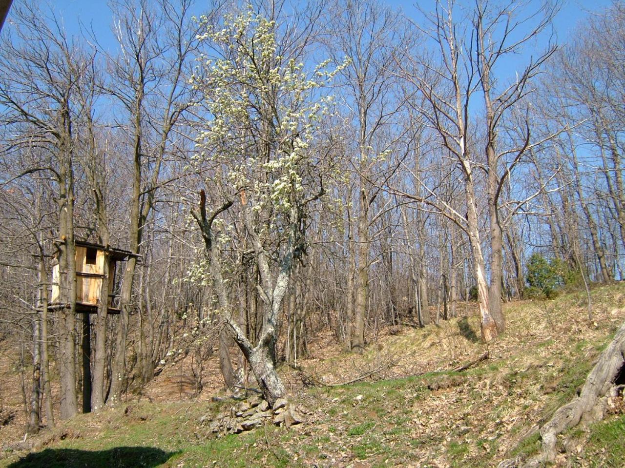 Vacation Home - Photo 49