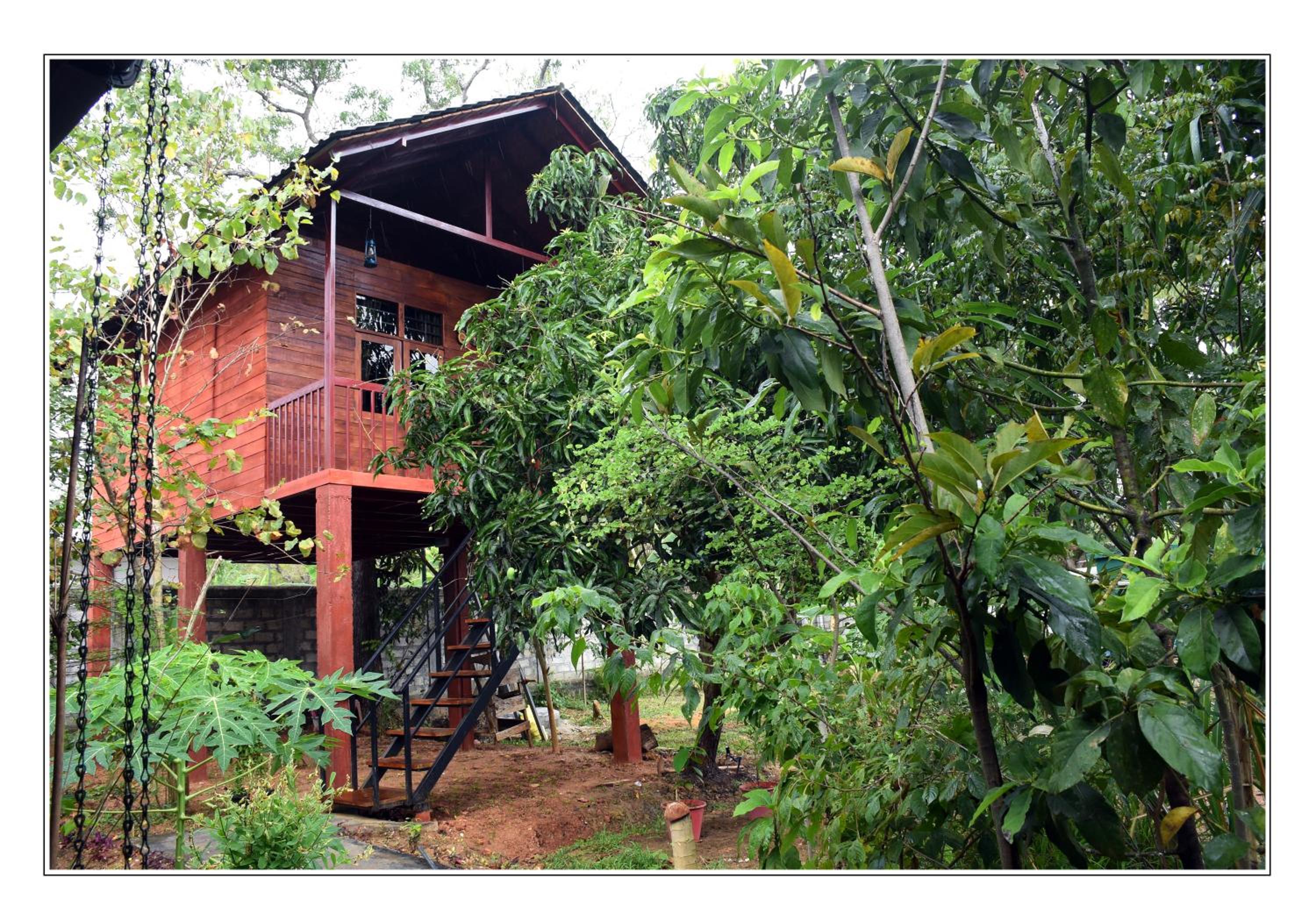 Triple Room with Pool View photo 3