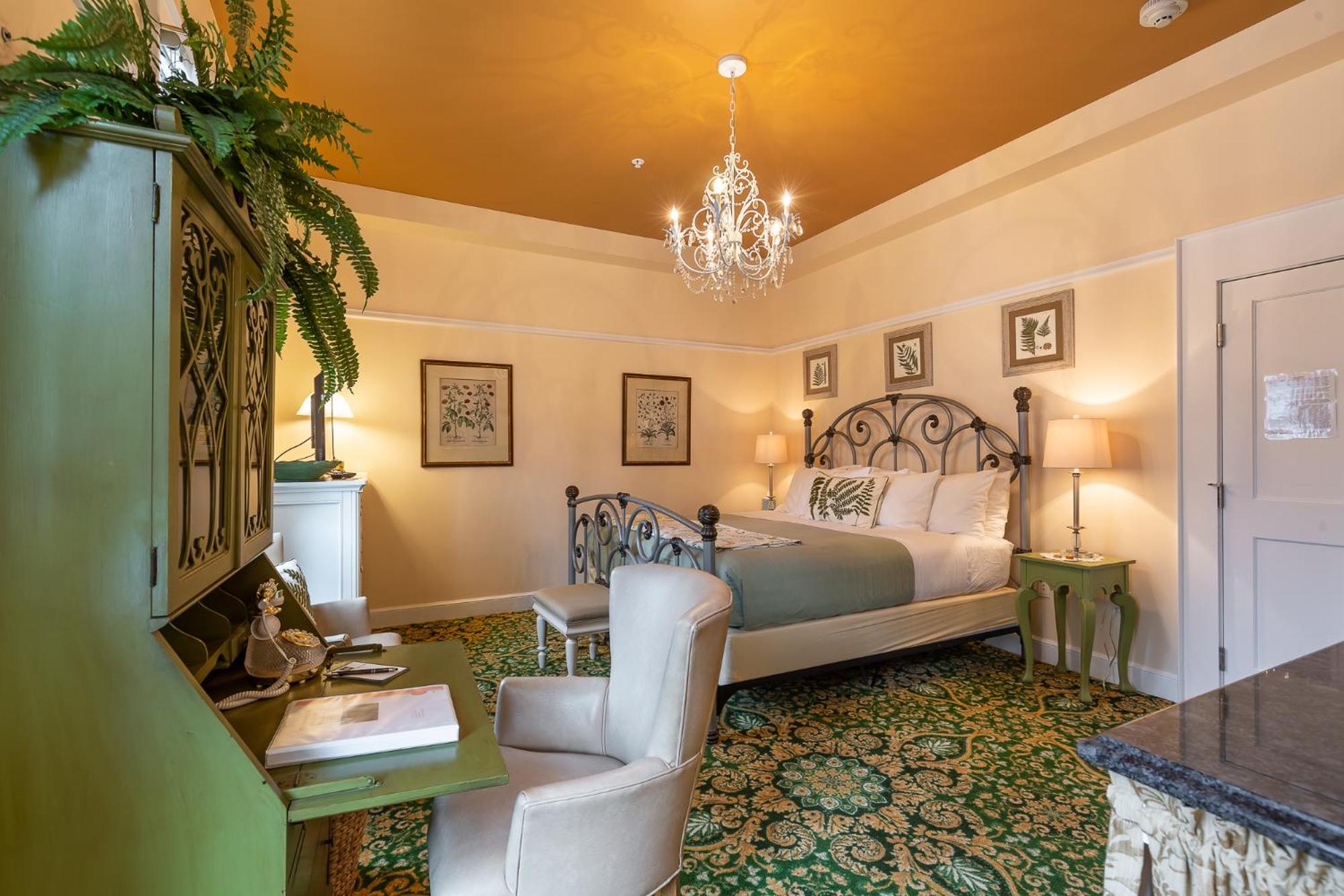 Deluxe King Suite - Photo 1