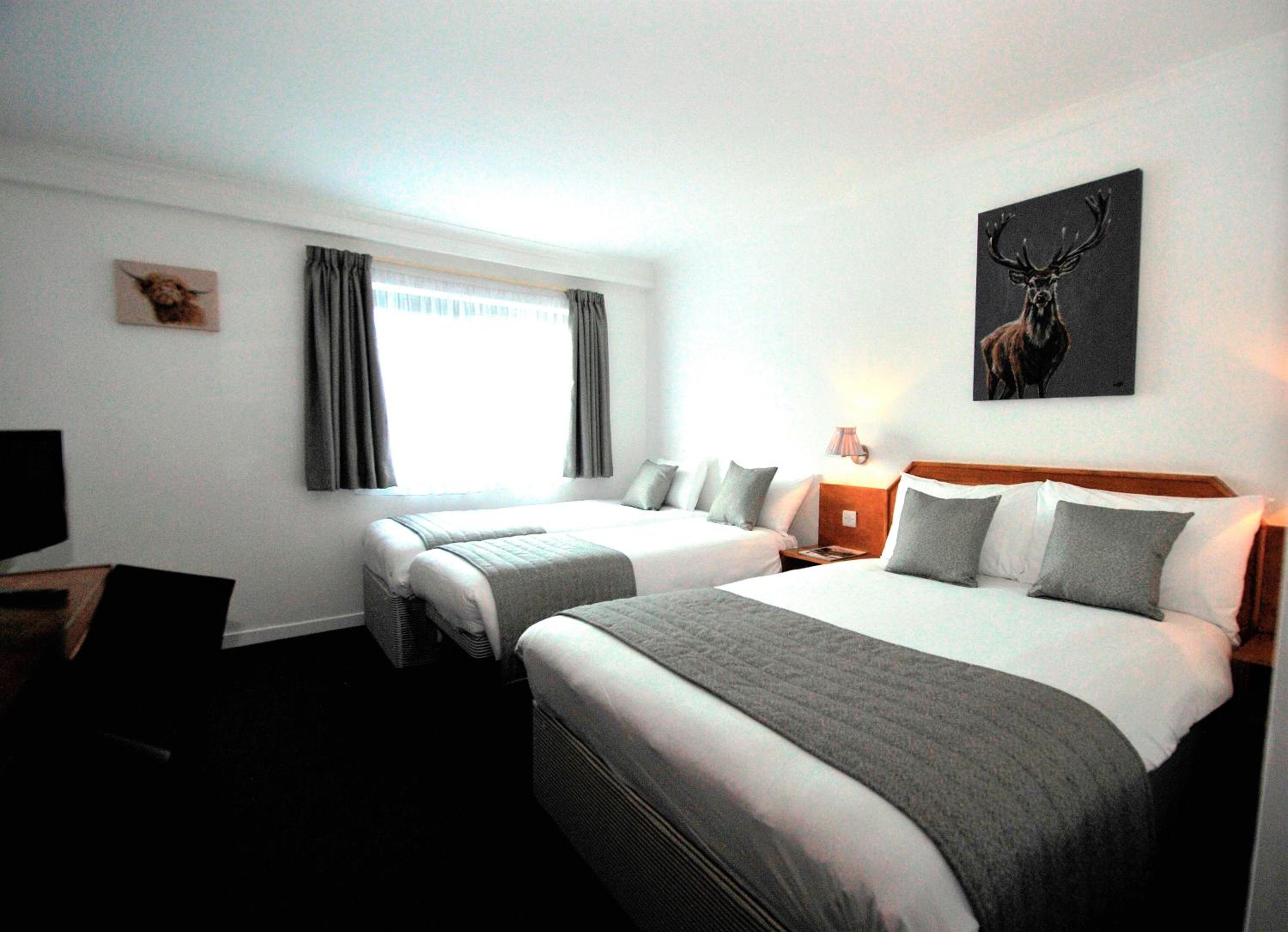 Double Room with Single Bed and Sofa Bed photo 1