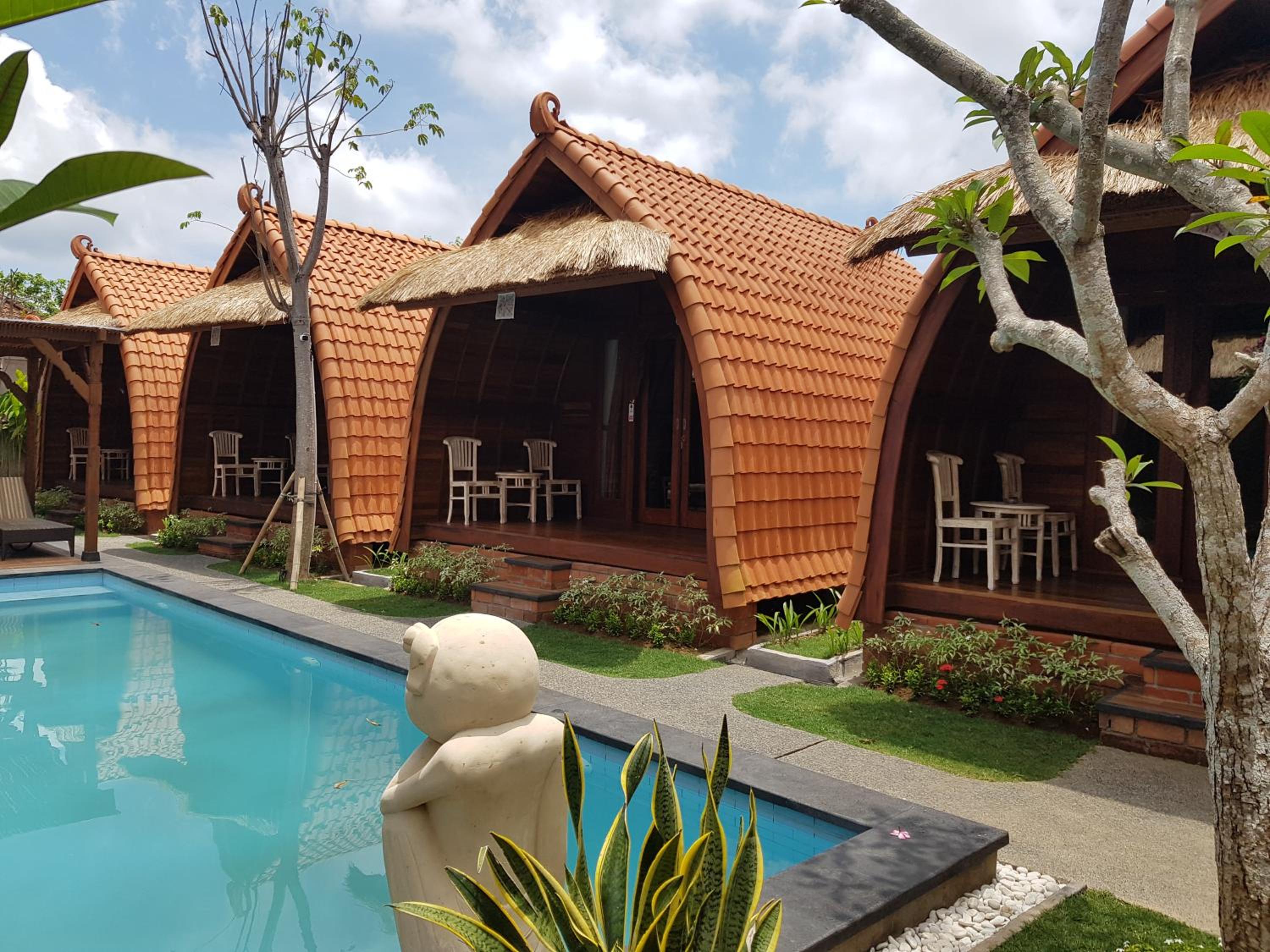 Deluxe Villa photo 3