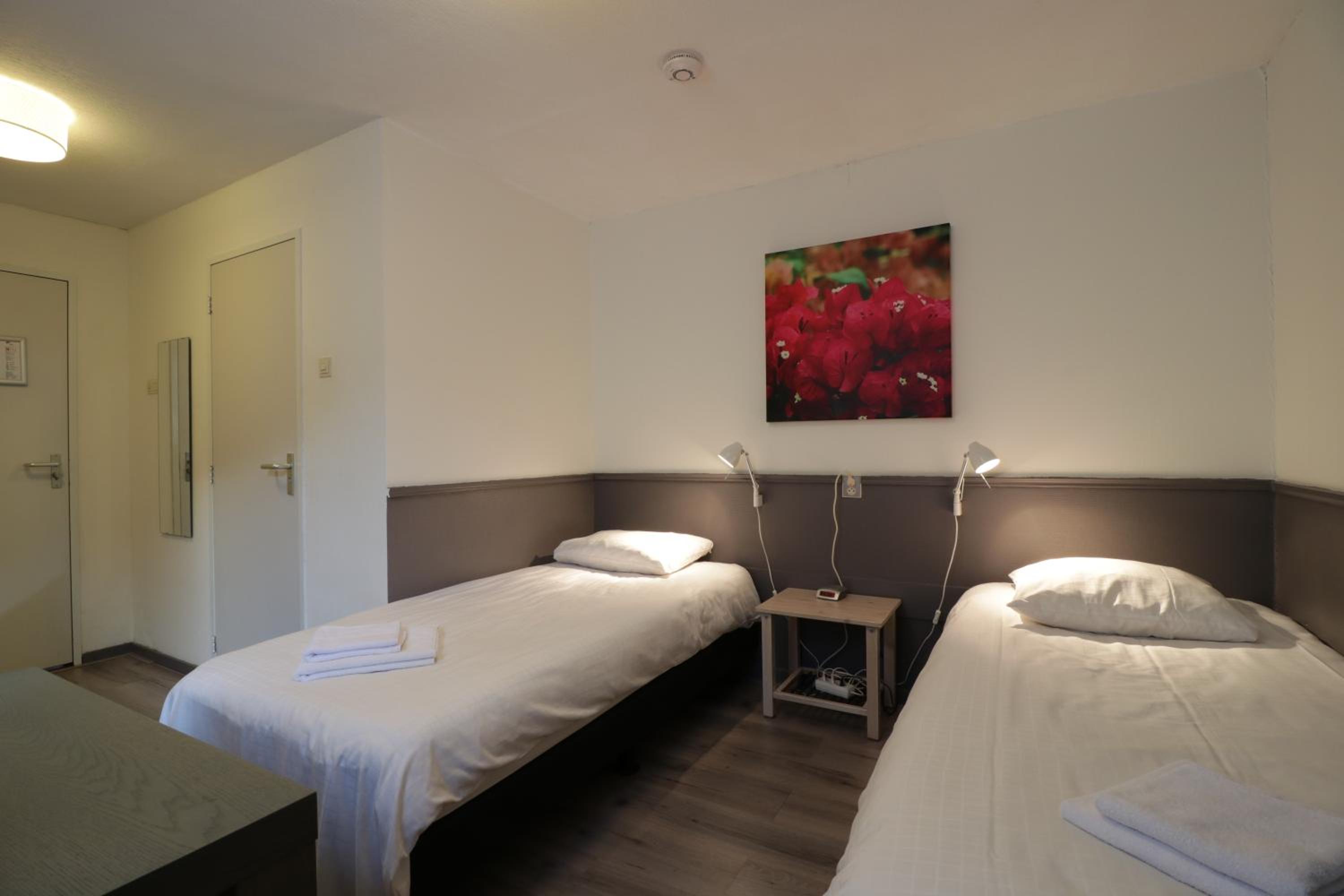 Twin Room photo 2