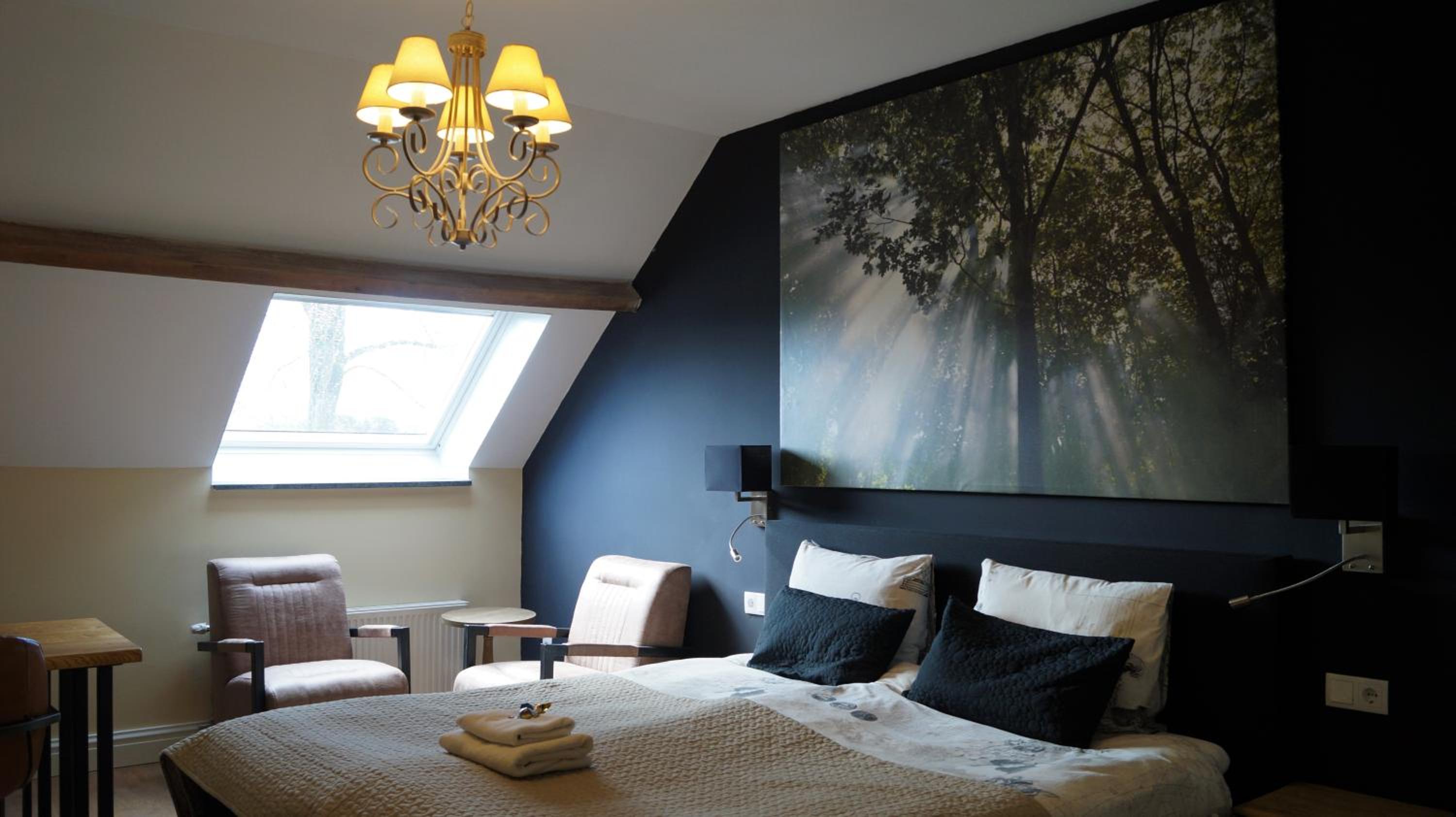 King Room or Twin Room