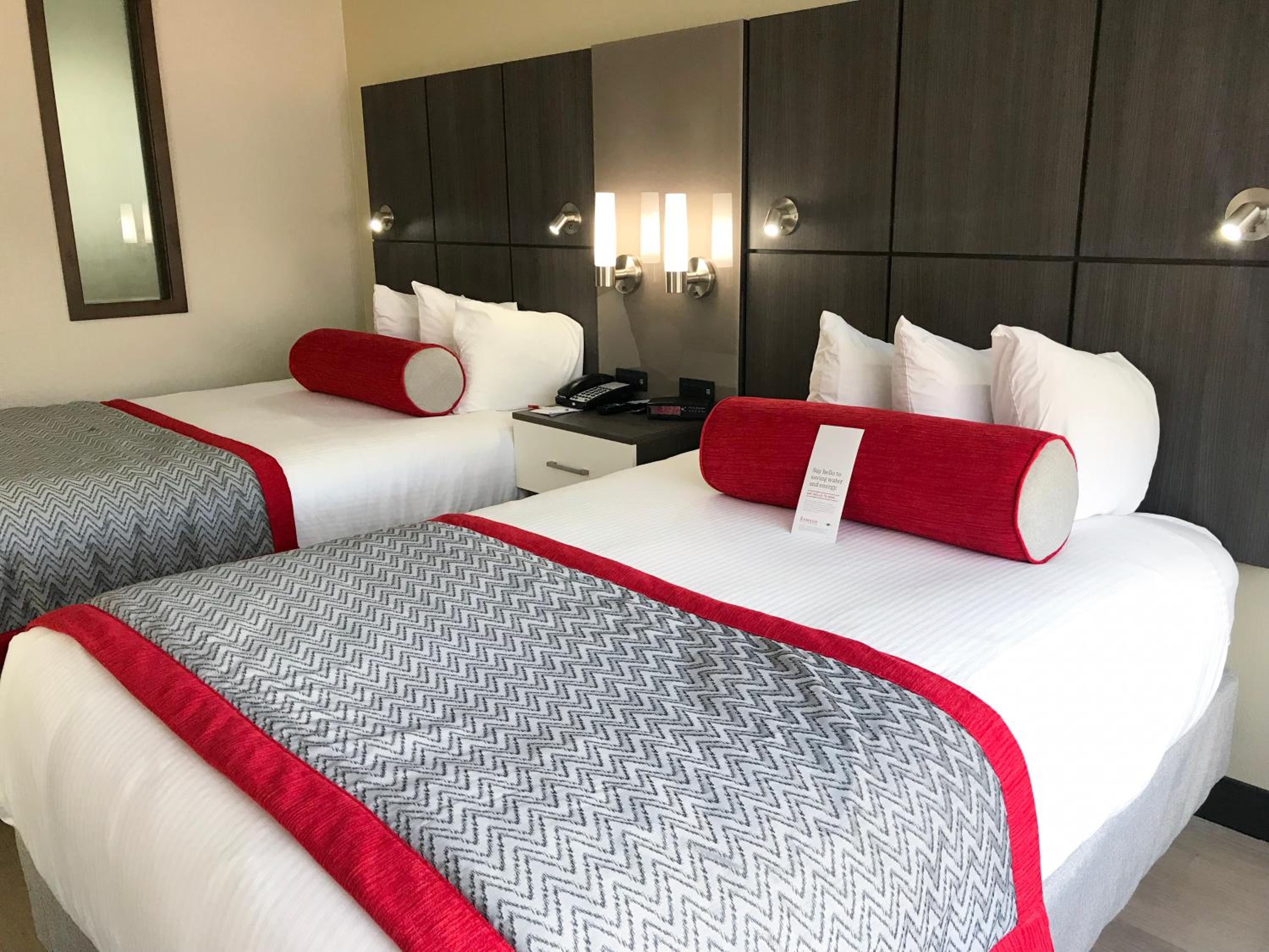 Studio Suite with Two Double Beds - Non-Smoking