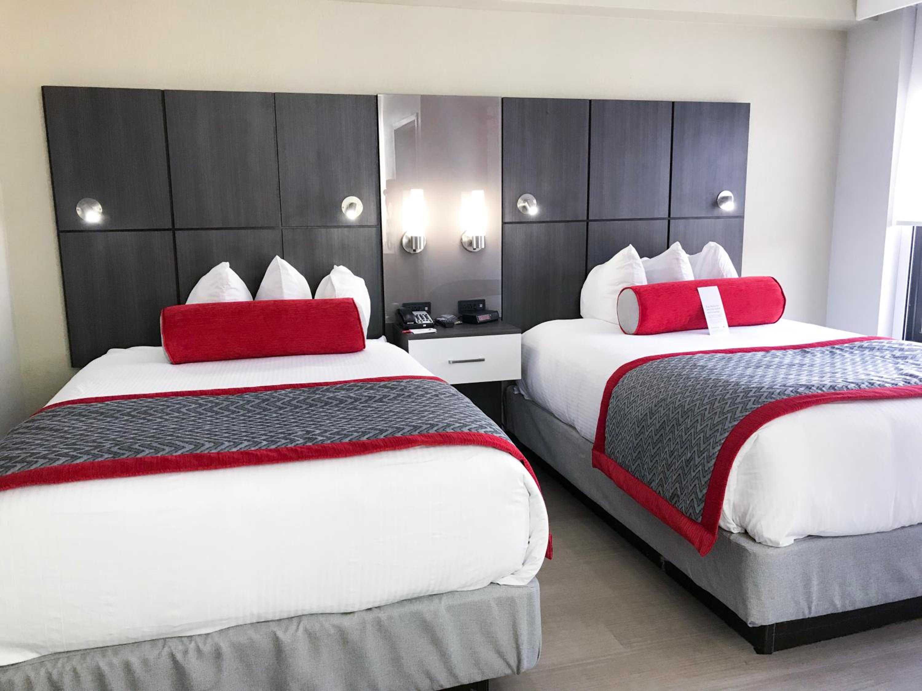 Studio Suite with Two Double Beds - Mobility Accessible - Non-Smoking