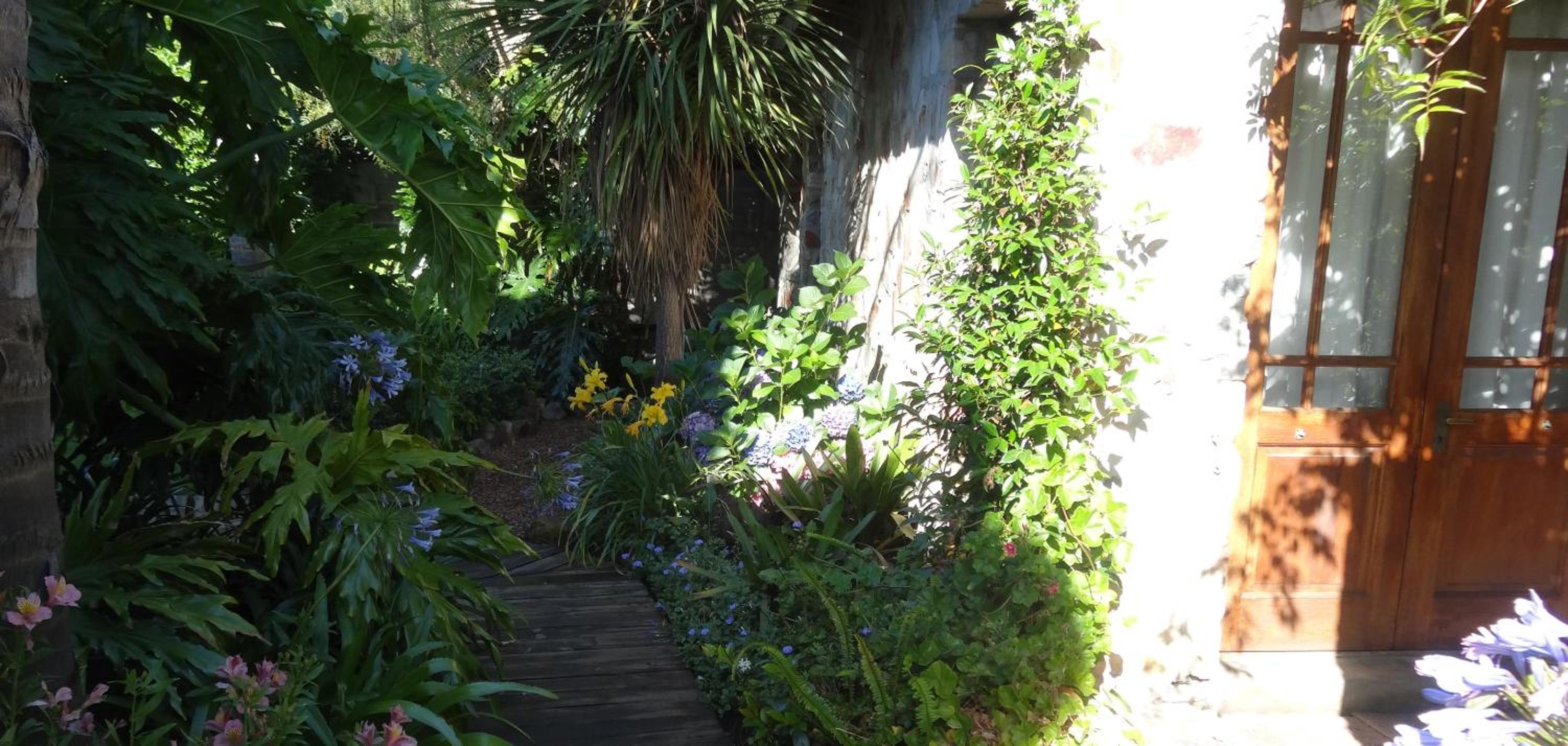 Suite - Photo 19