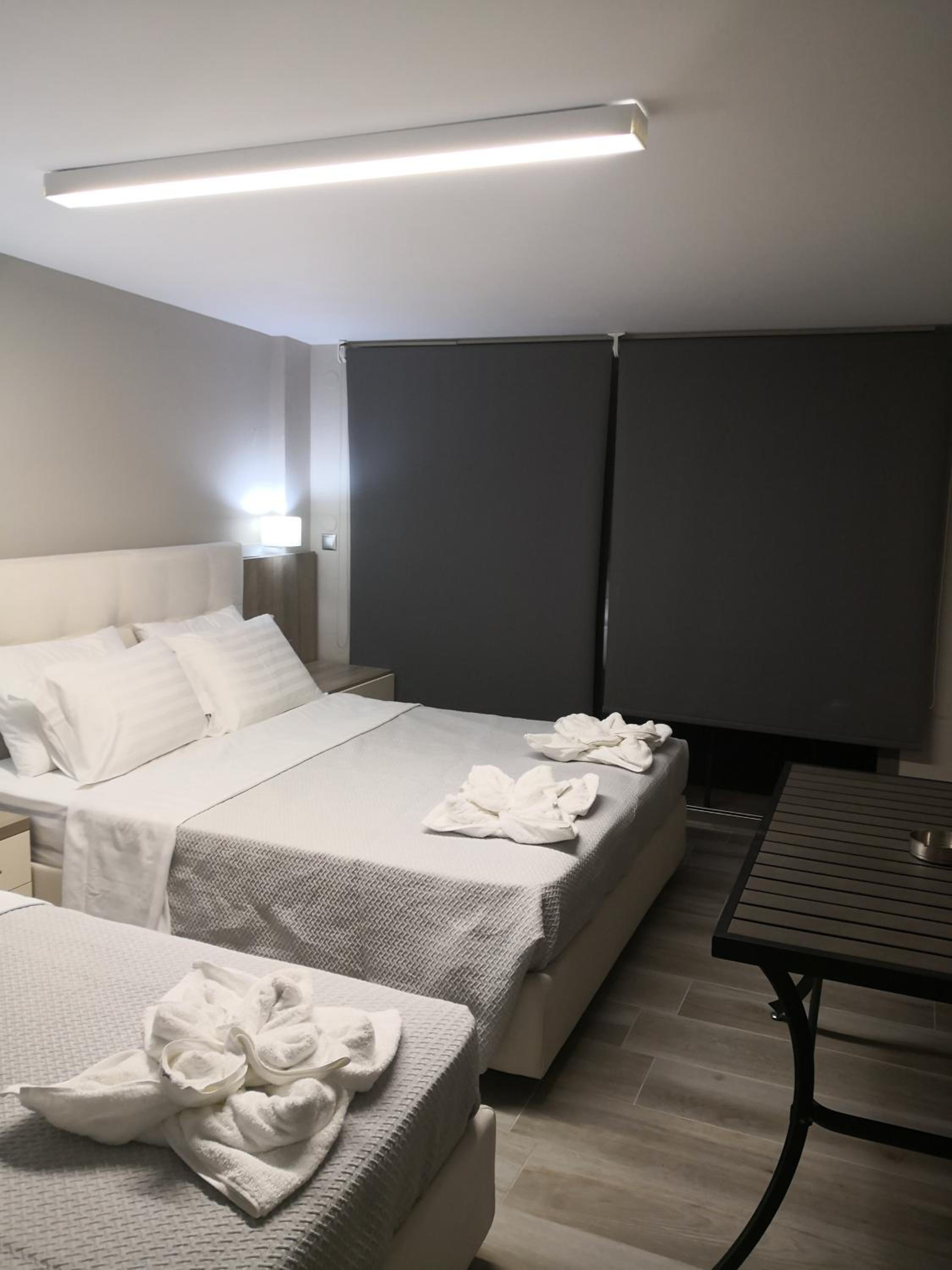 Duplex Suite - Photo 4