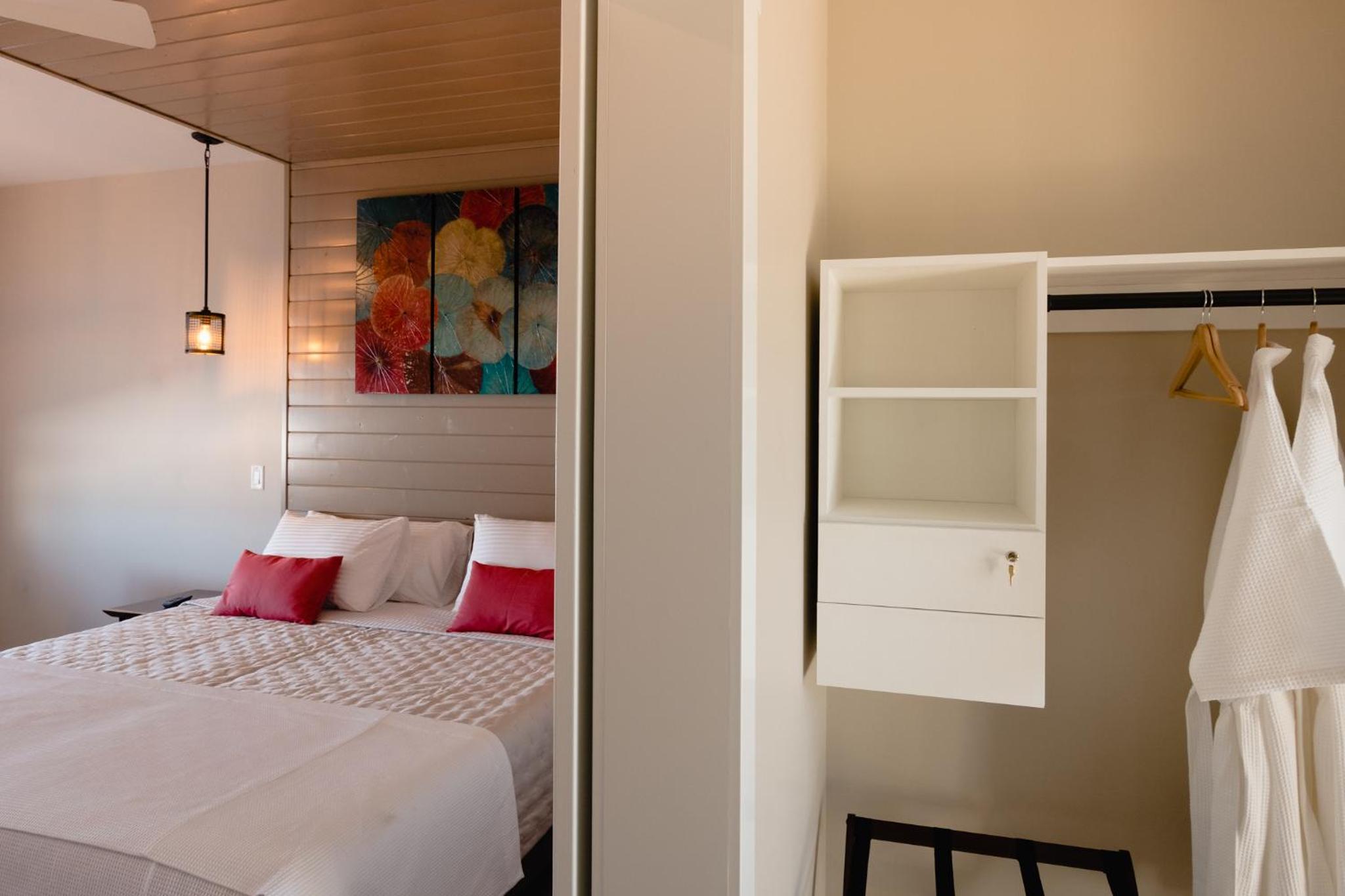 Deluxe King Suite photo 1