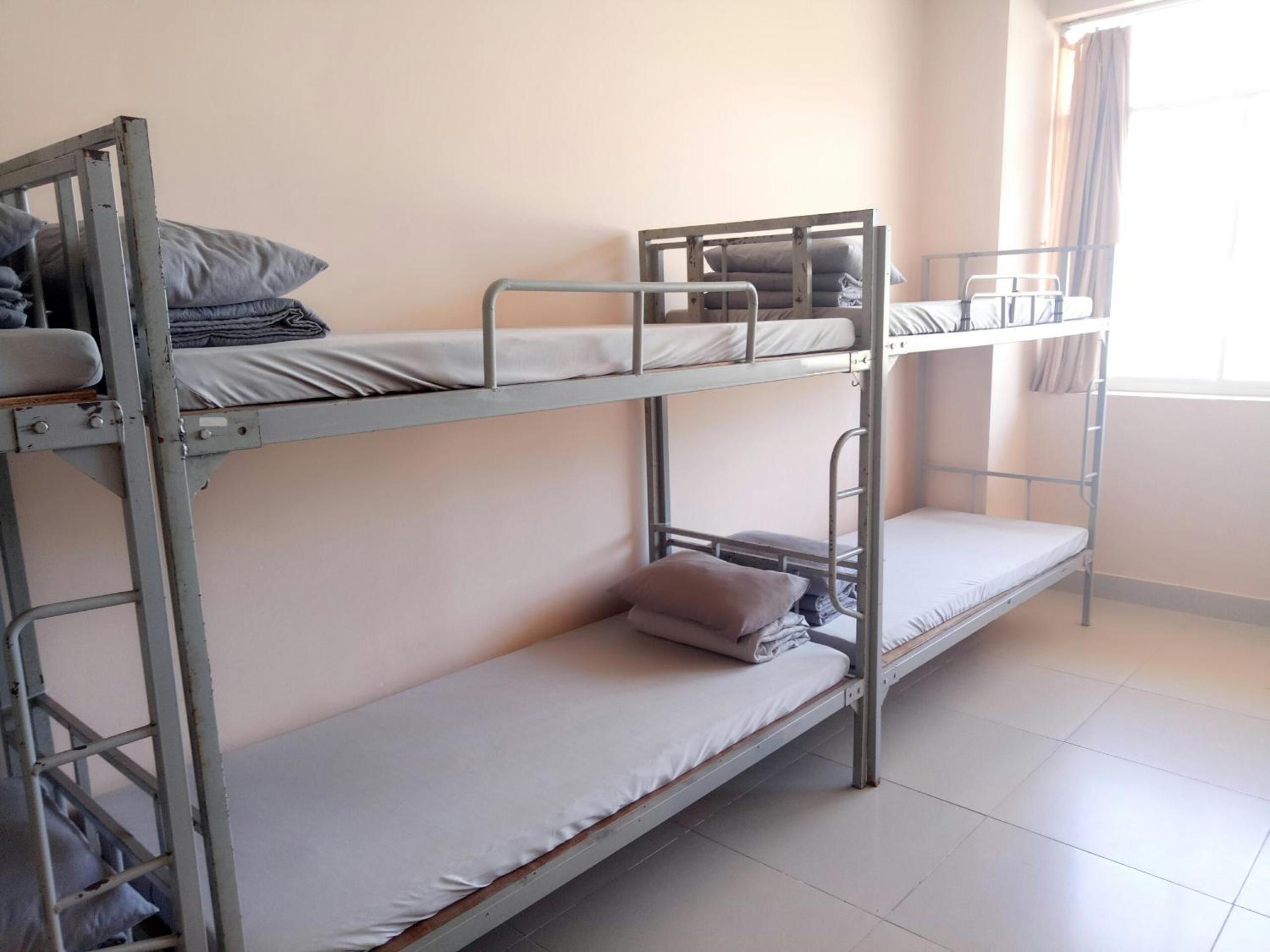 Bunk Bed in Mixed Dormitory Room photo 2