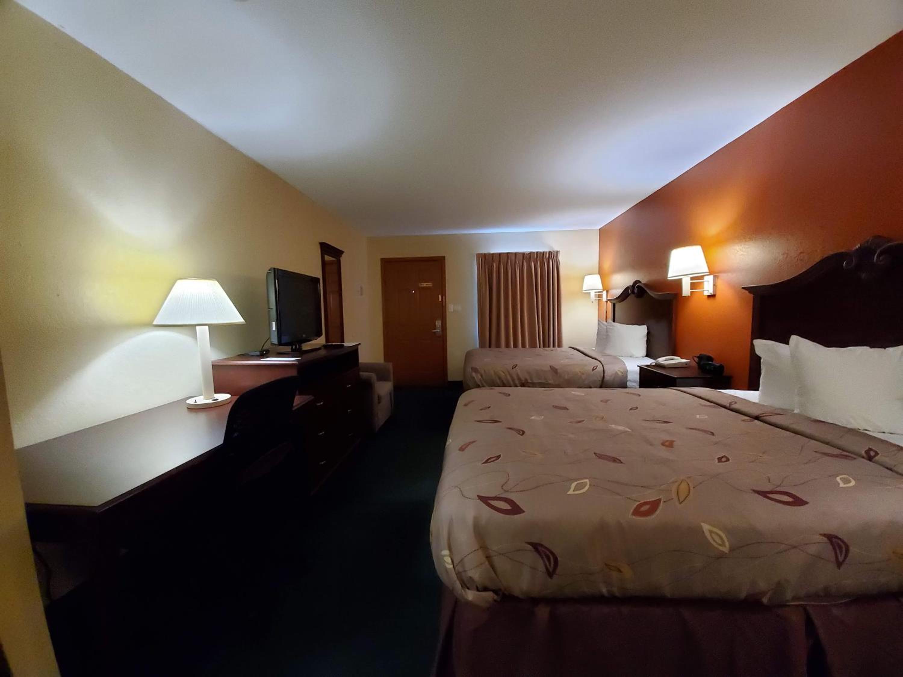 King Suite photo 1