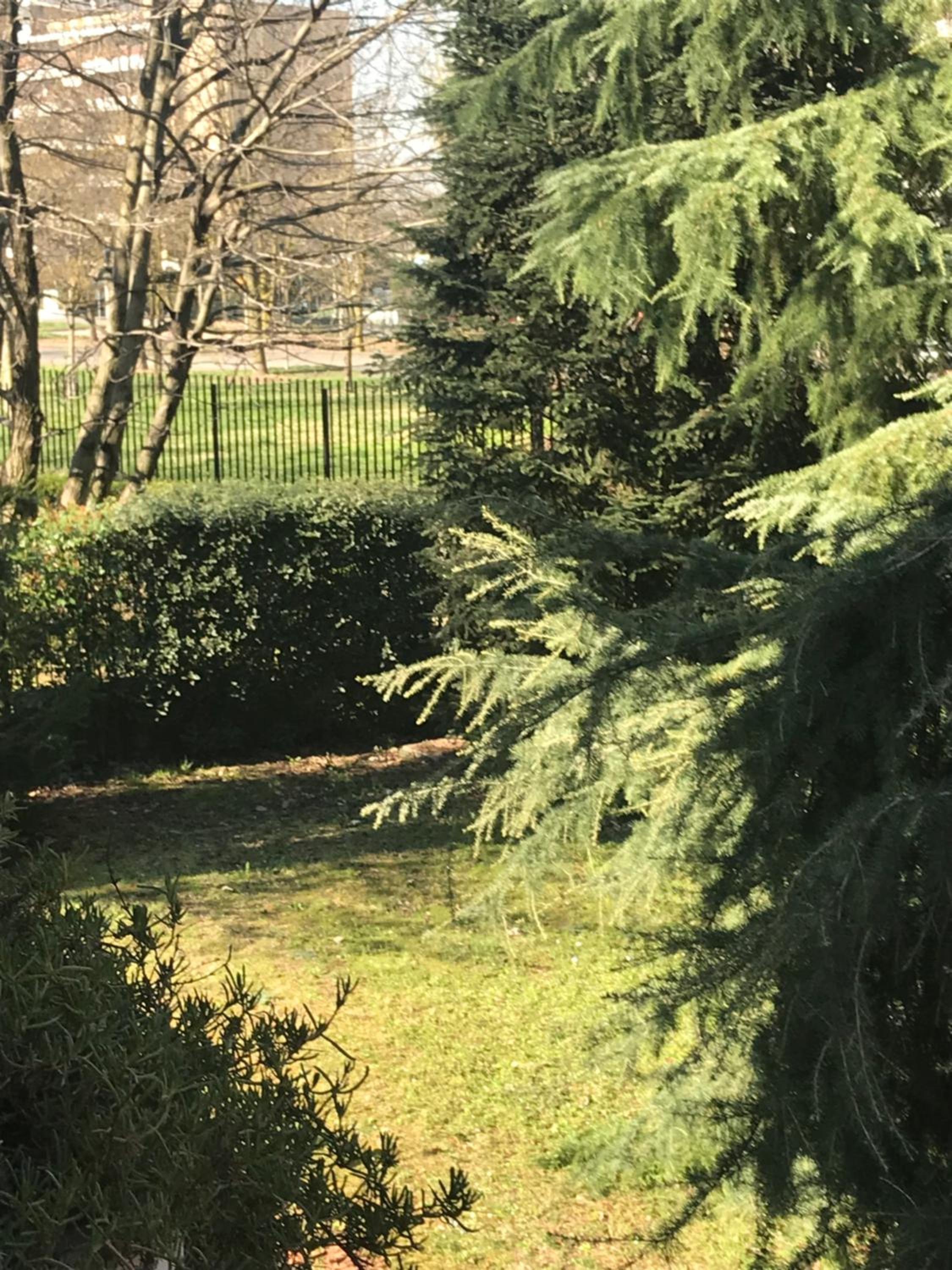 King Room with Garden View - Photo 12