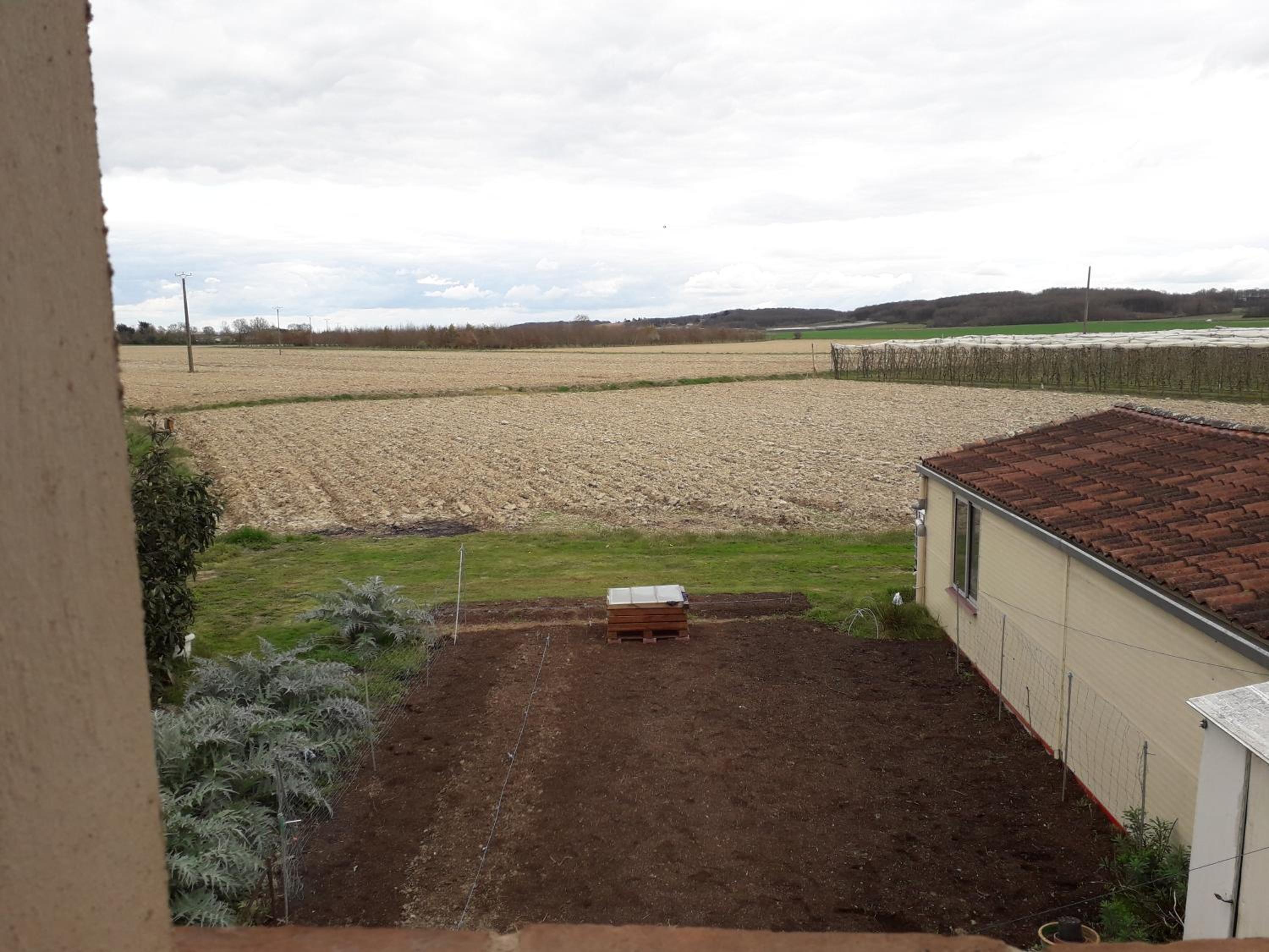 Double Room with Garden View photo 2
