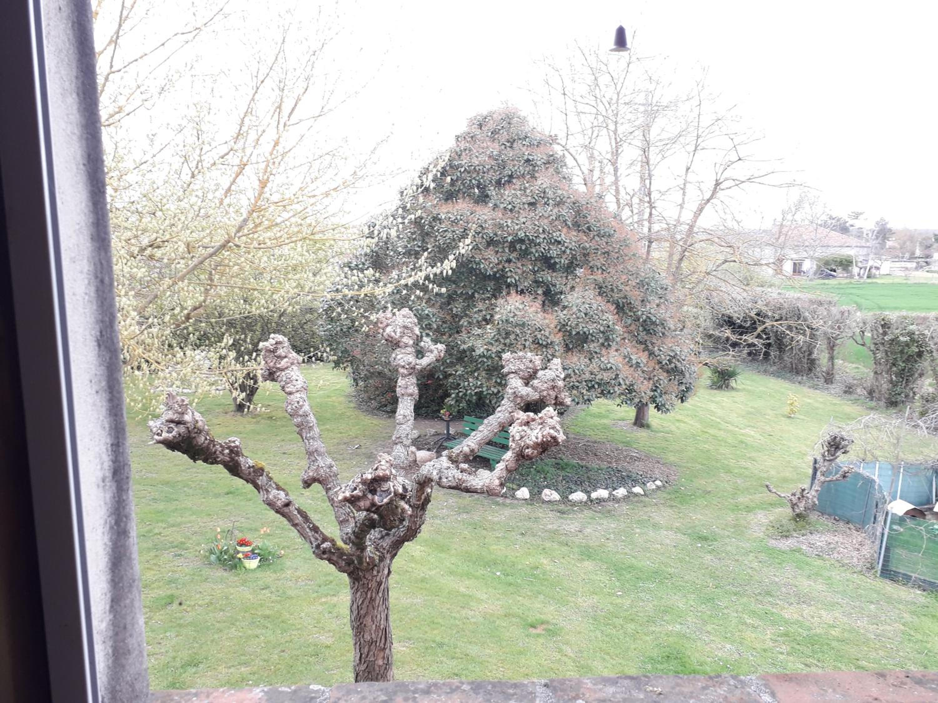 Double Room with Garden View
