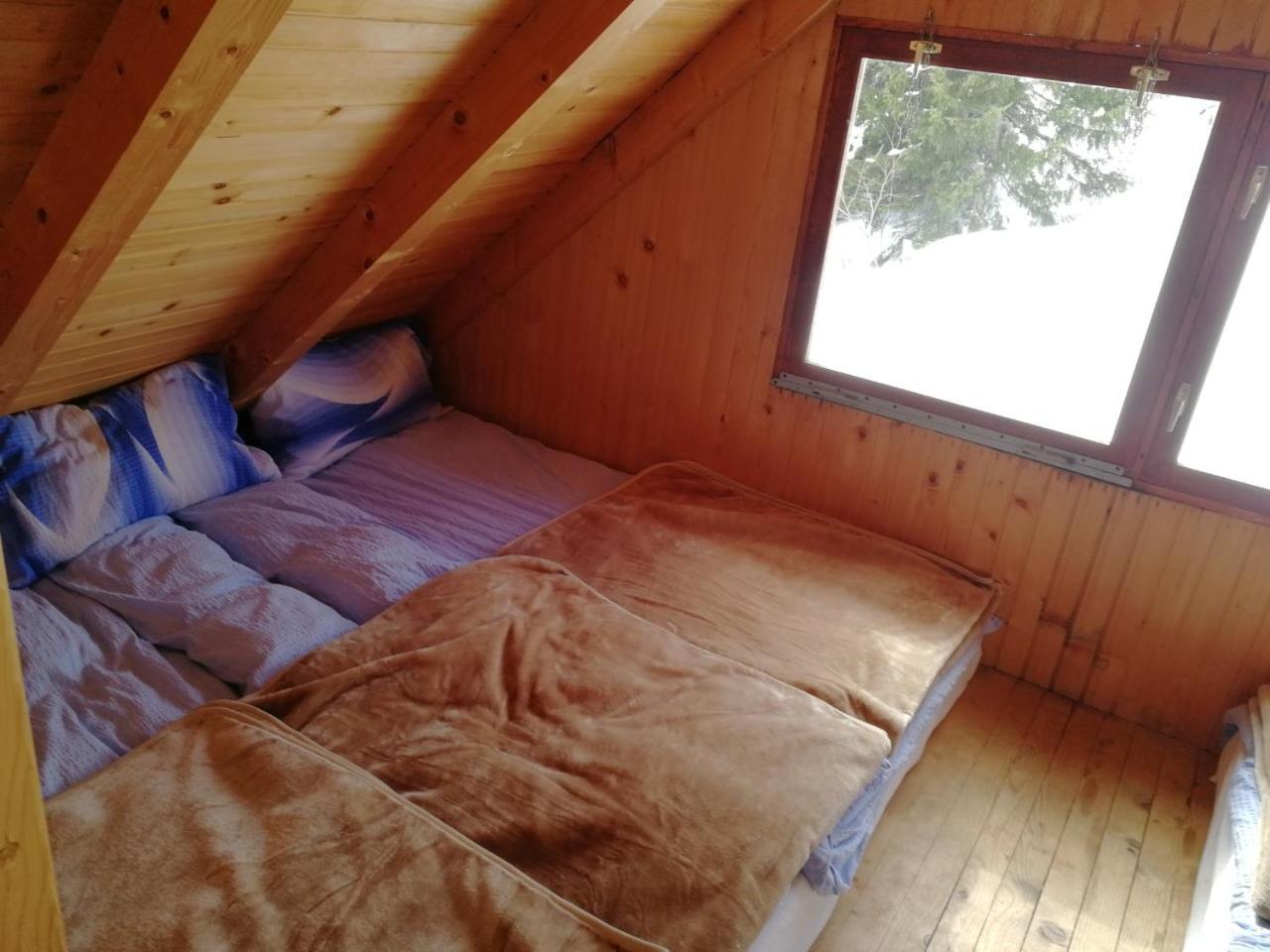 Vacation Home photo 1
