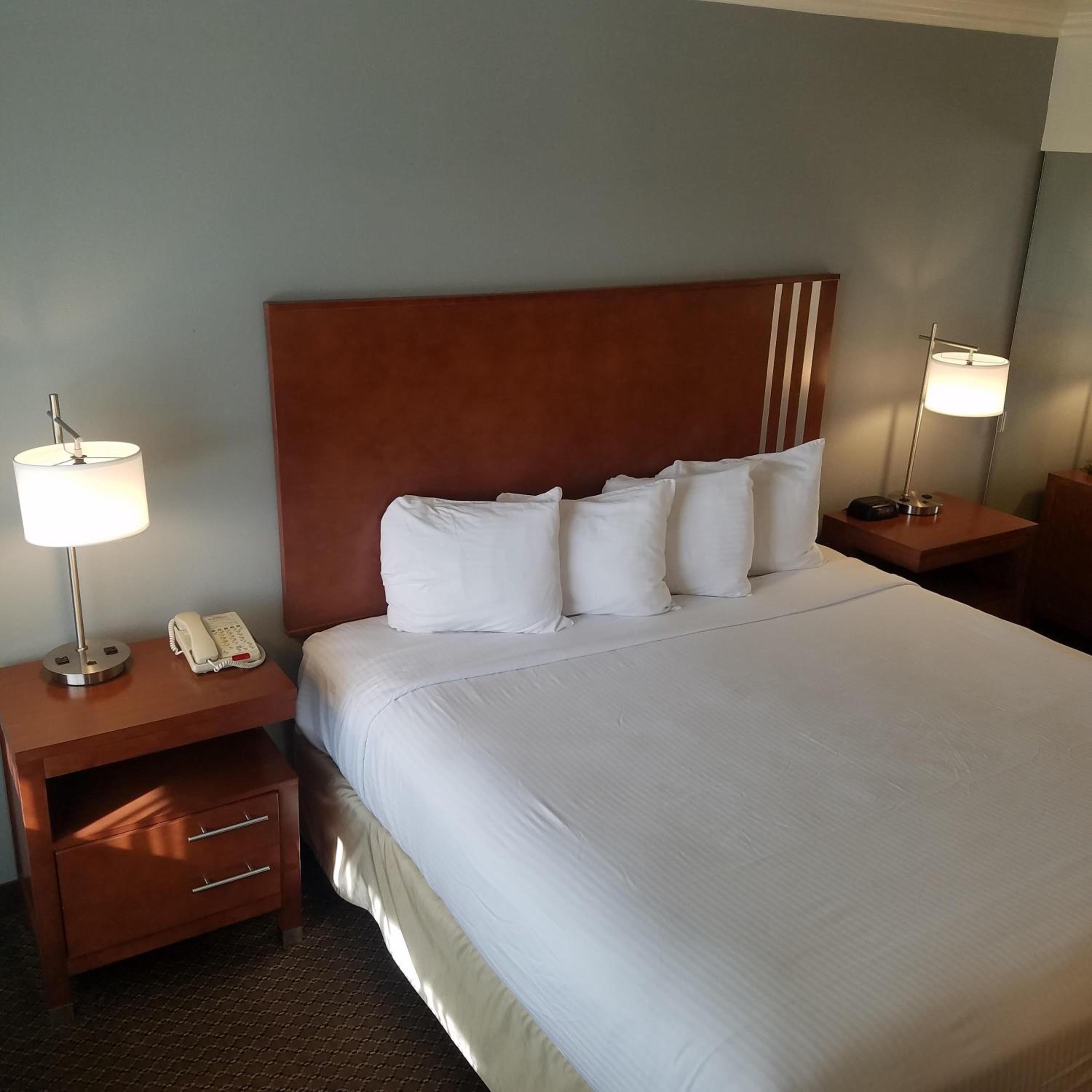 King Room - Photo 4
