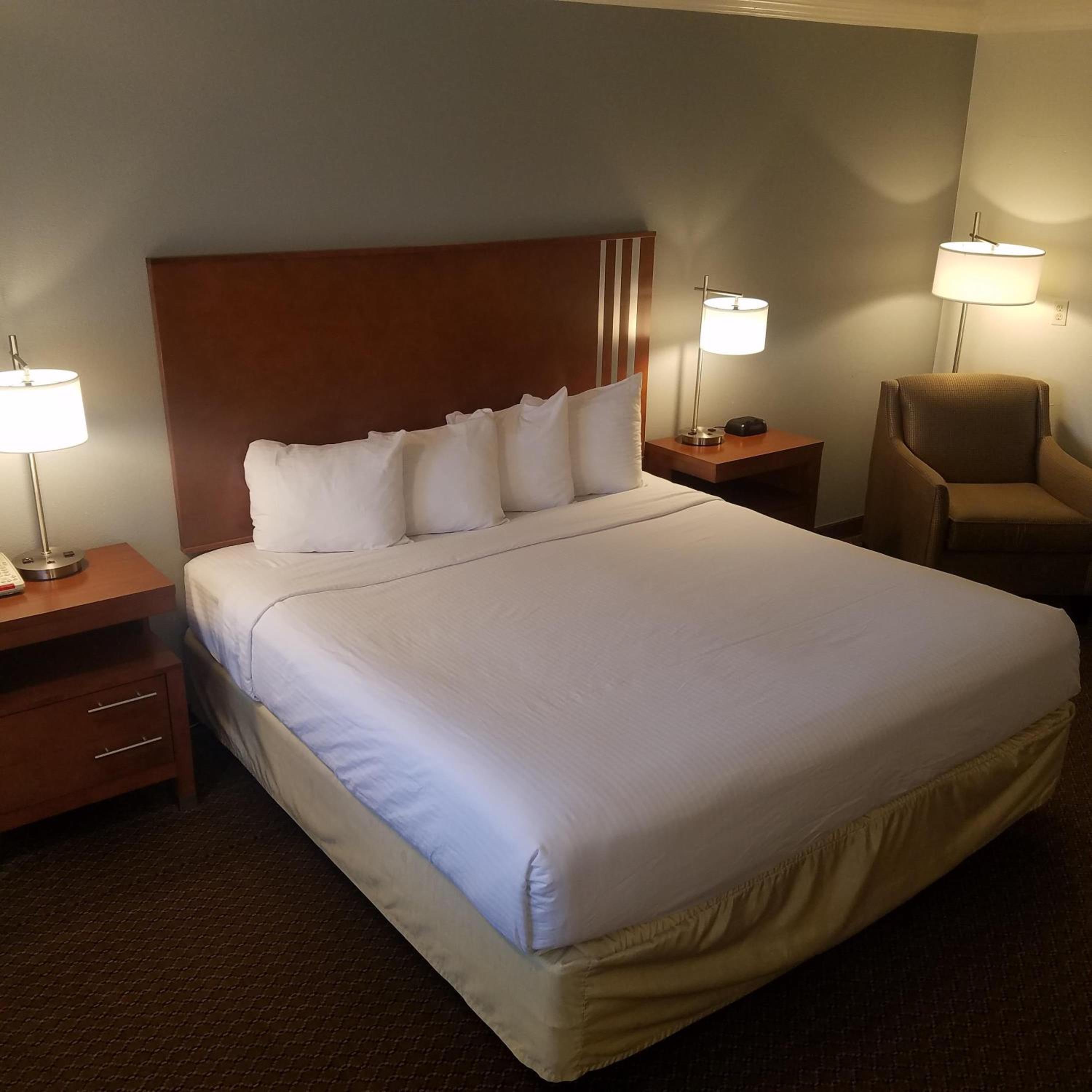 Large King Room - Photo 2
