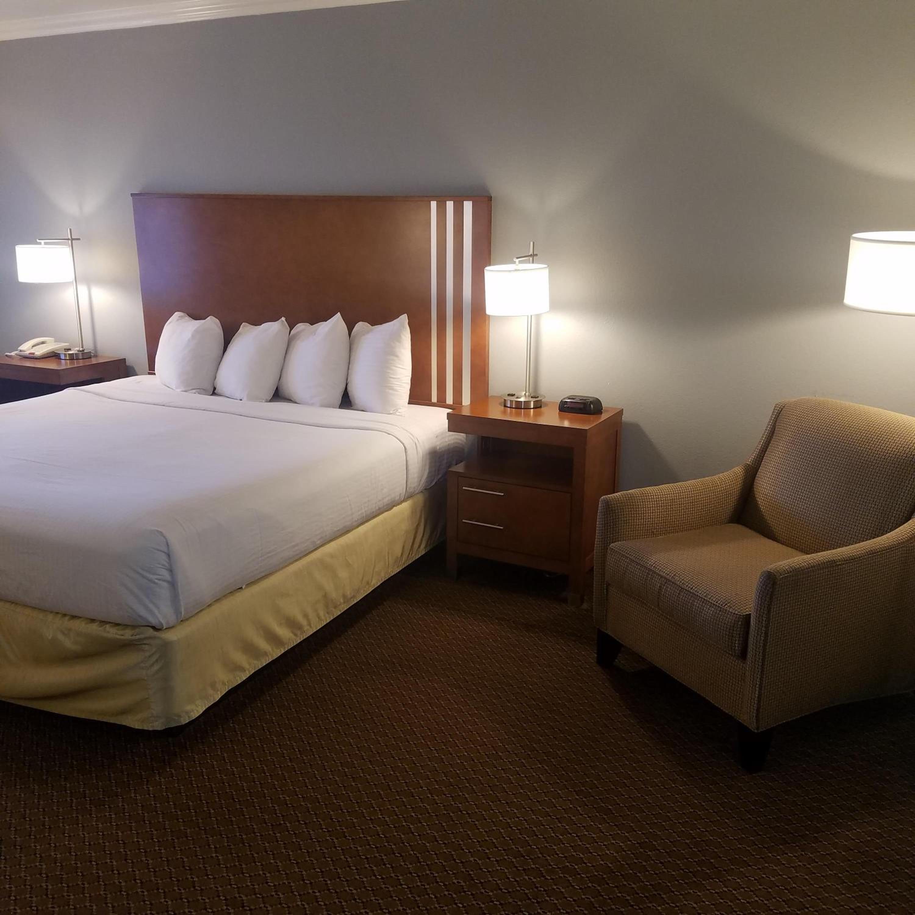 Large King Room - Photo 3
