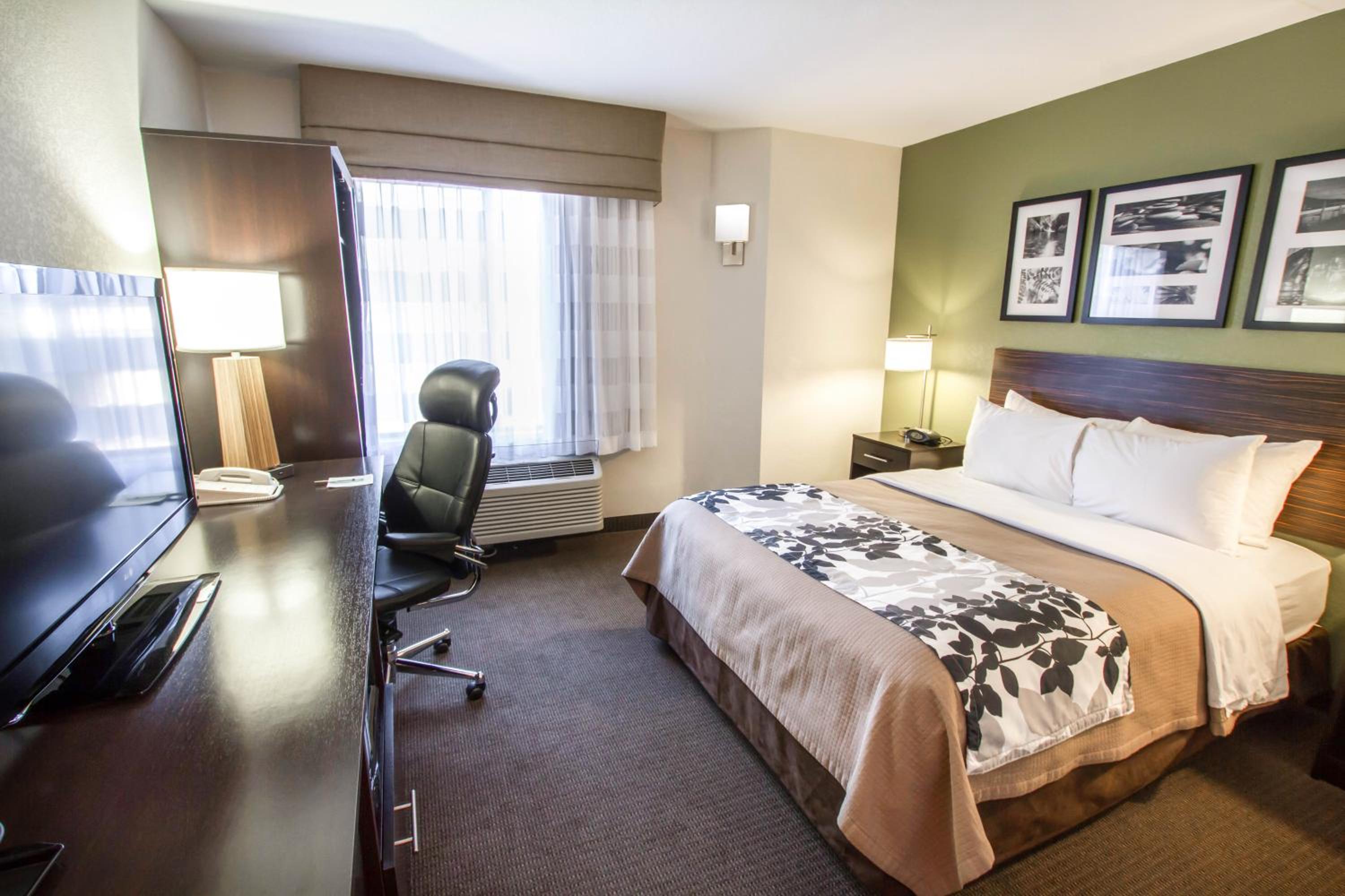 King Room - Non-Smoking - Photo 3