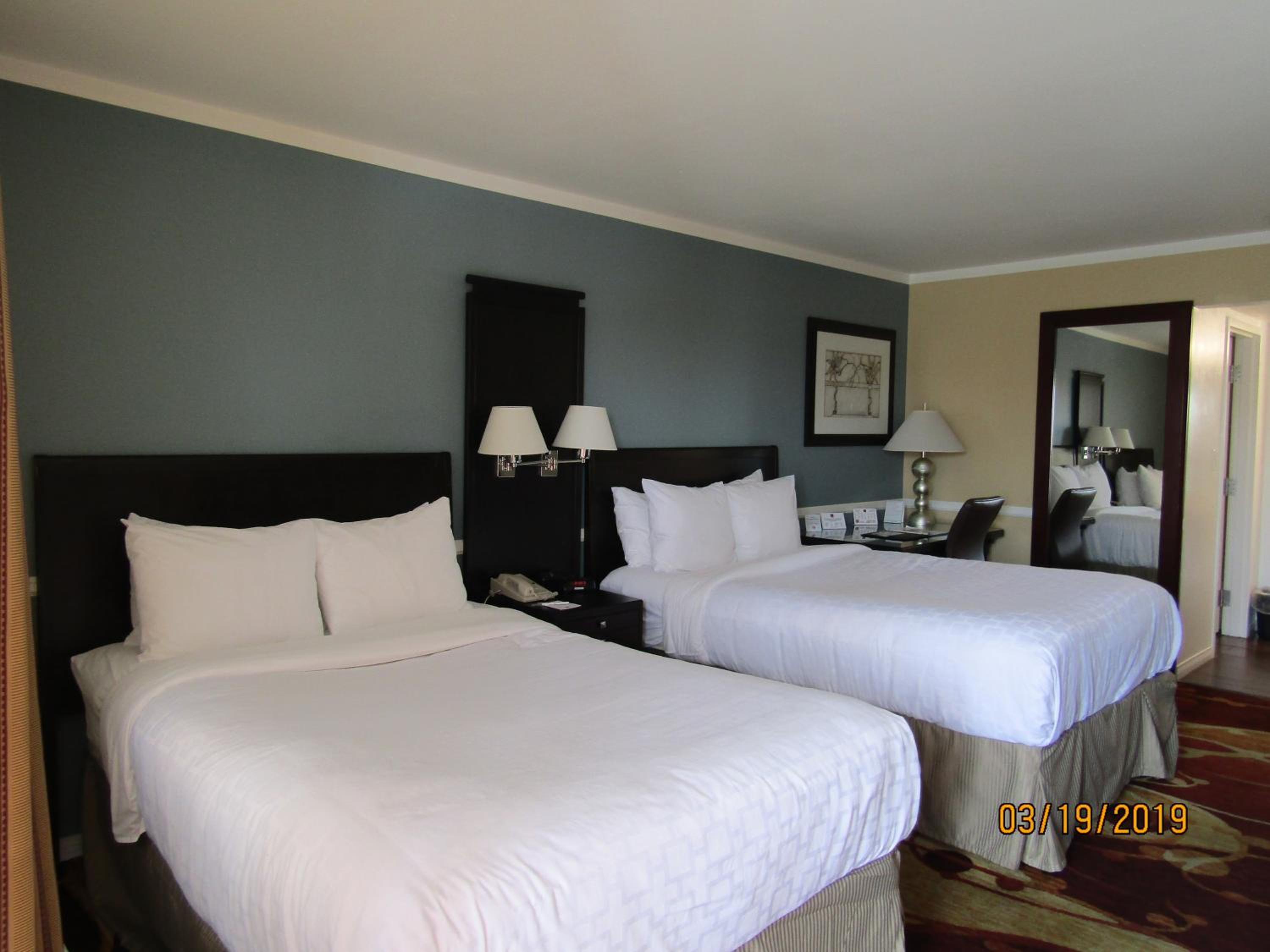 Standard Double Room with Two Double Beds - Photo 6