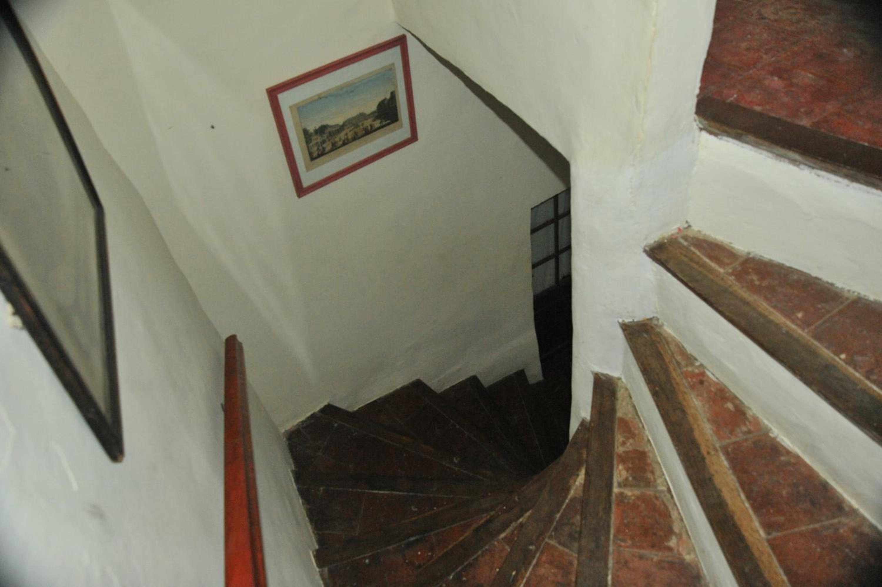 Suite - Photo 9
