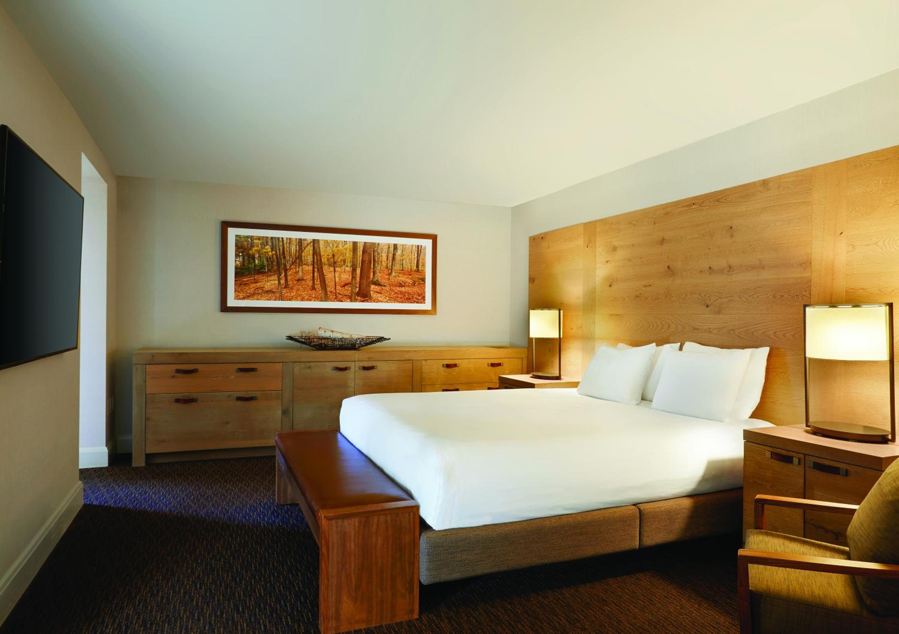 One-Bedroom Suite - Photo 5