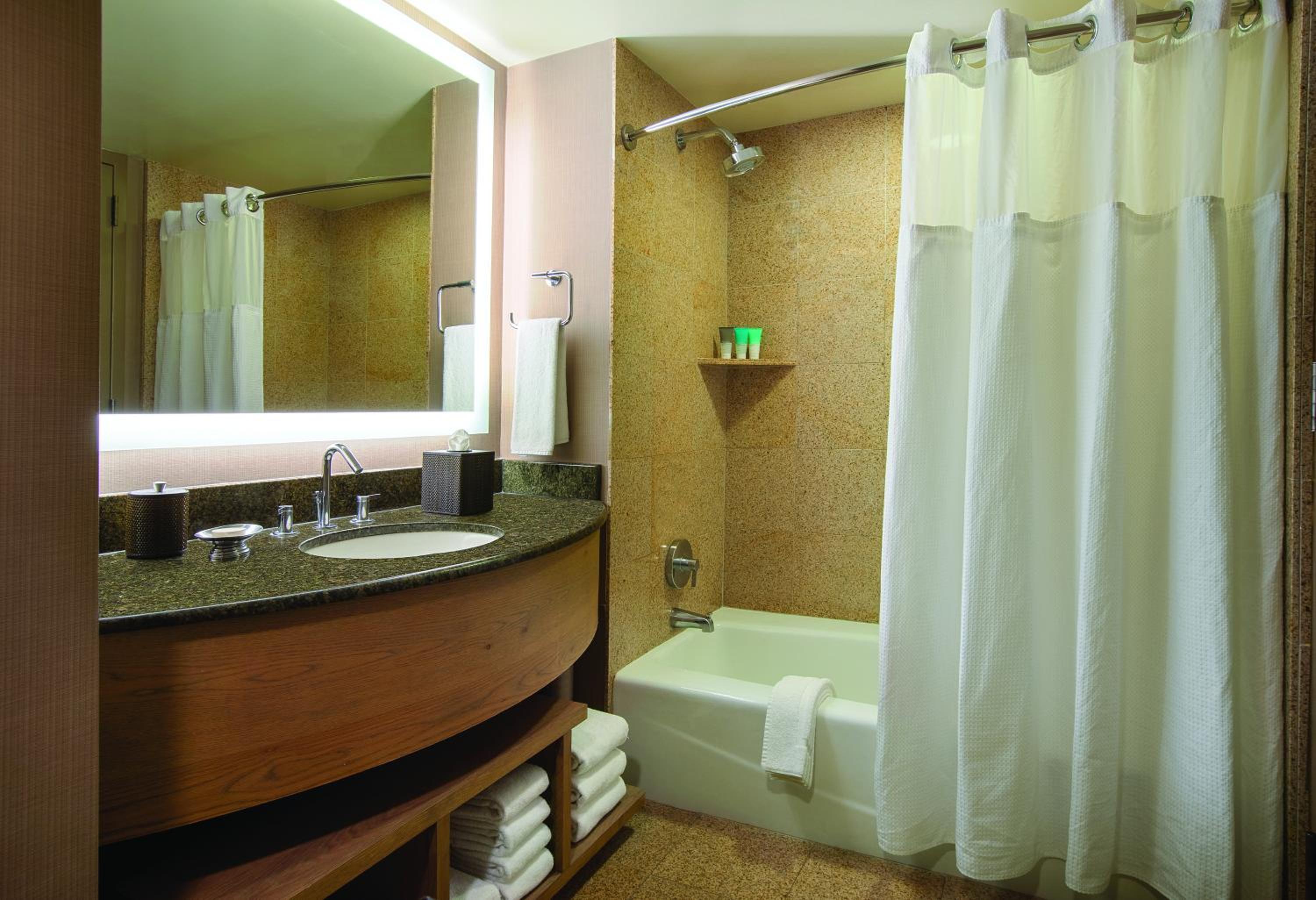 One-Bedroom Suite - Photo 4