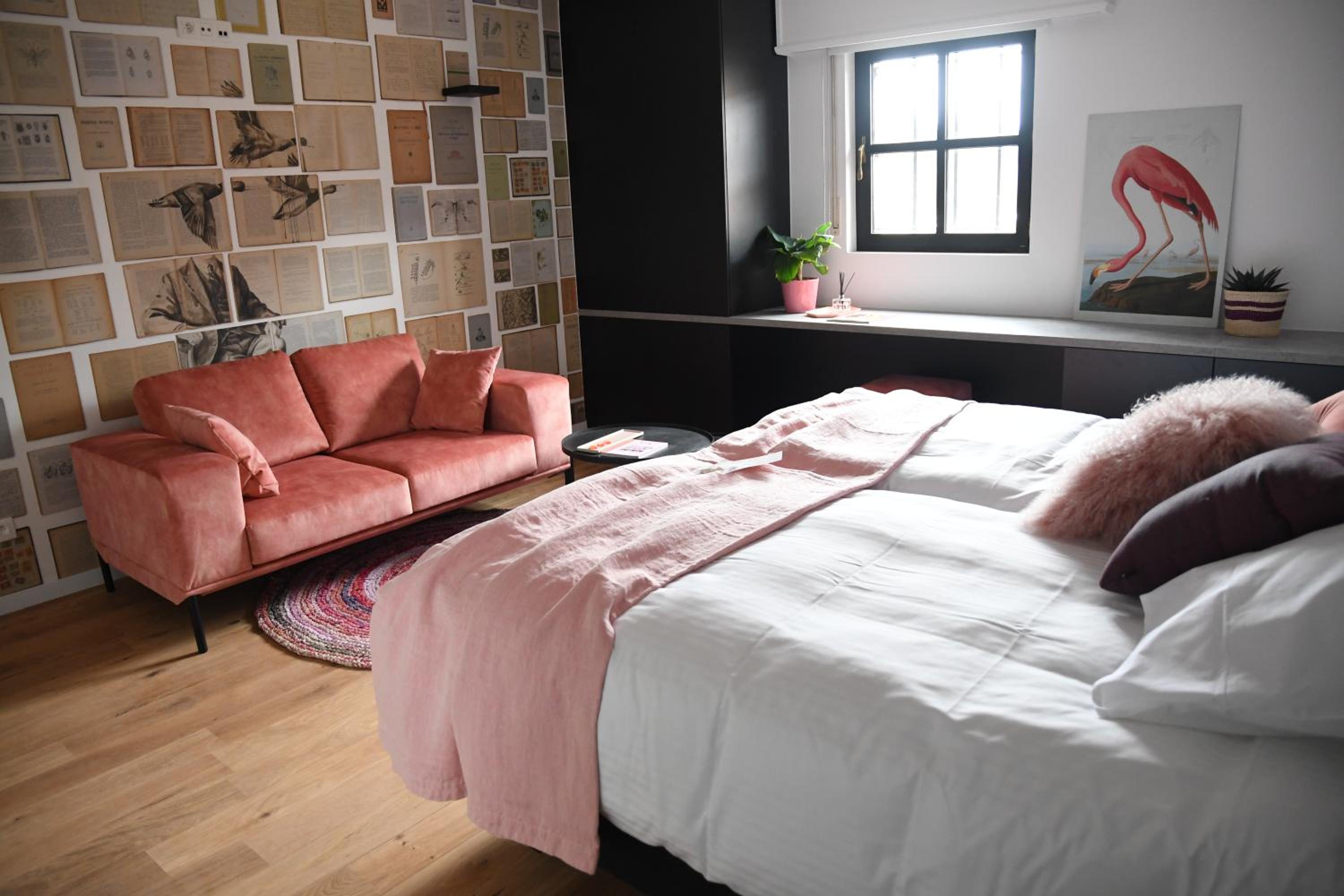 Superior Double Room photo 3