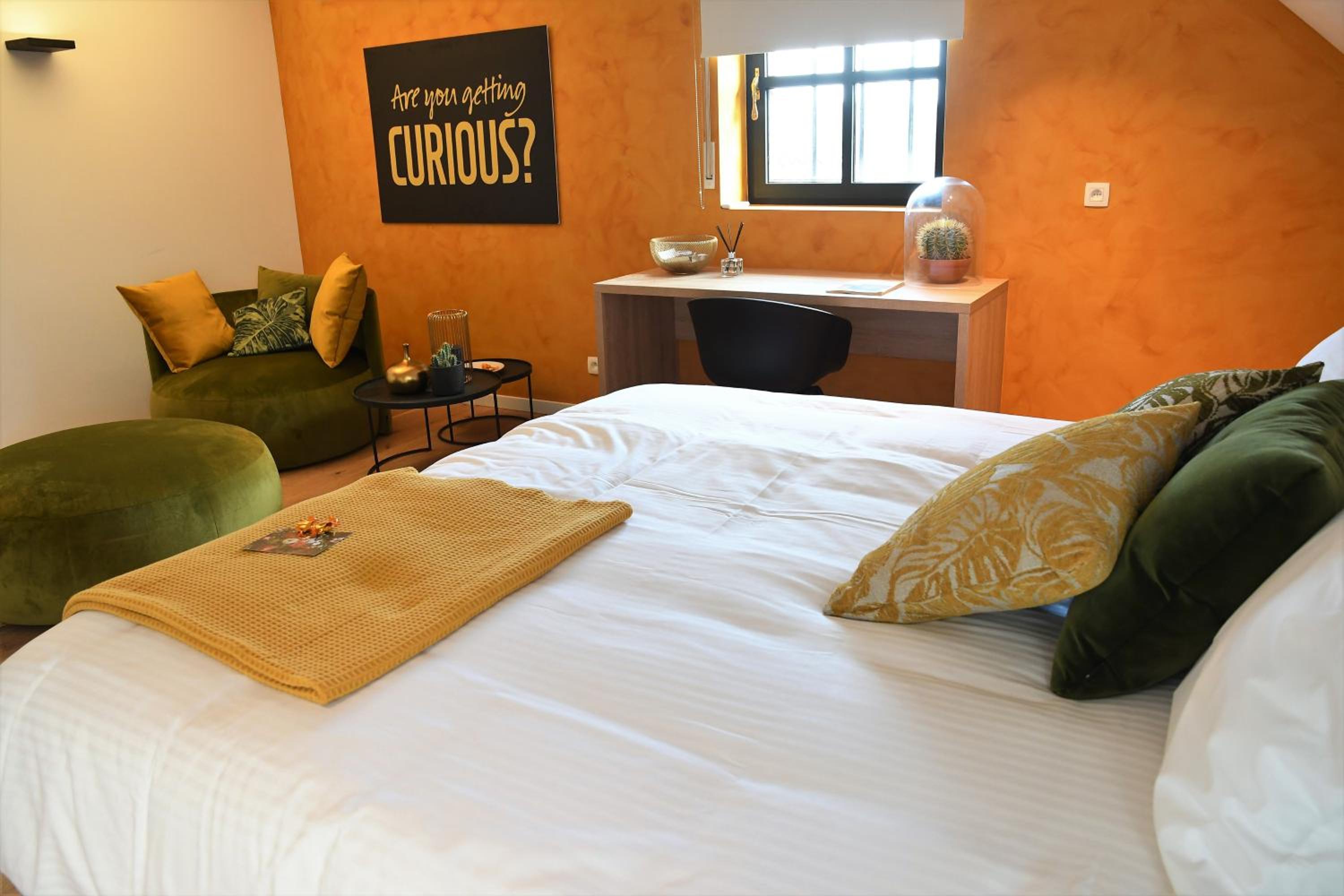 Deluxe Room photo 3