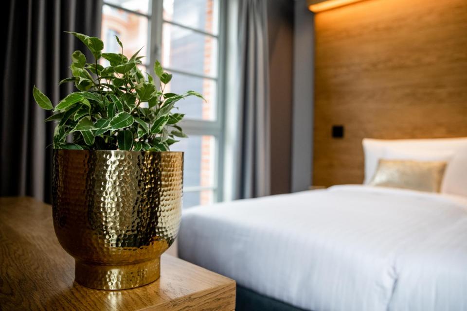 Standard Double or Twin Room thumbnail 5