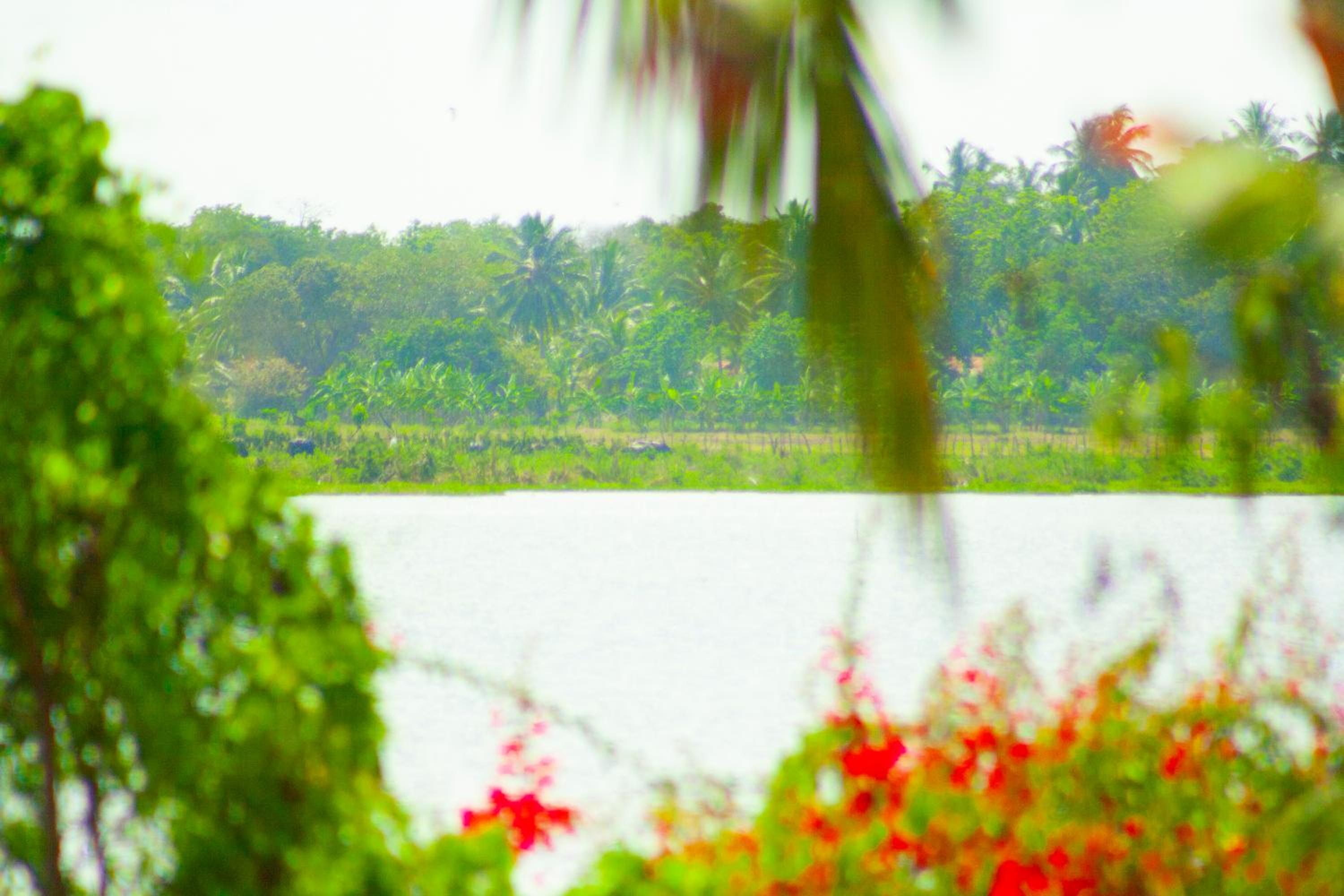 Triple Room with Lake View photo 2