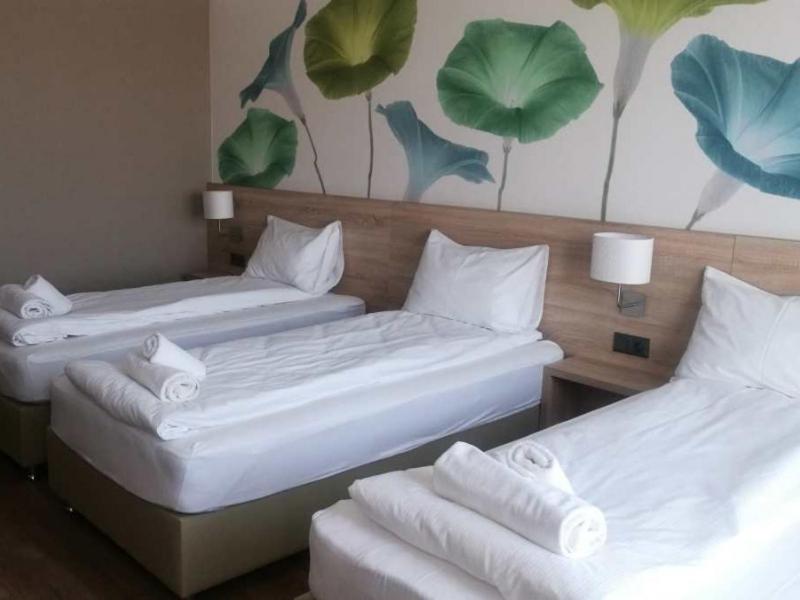 Triple Room photo 2