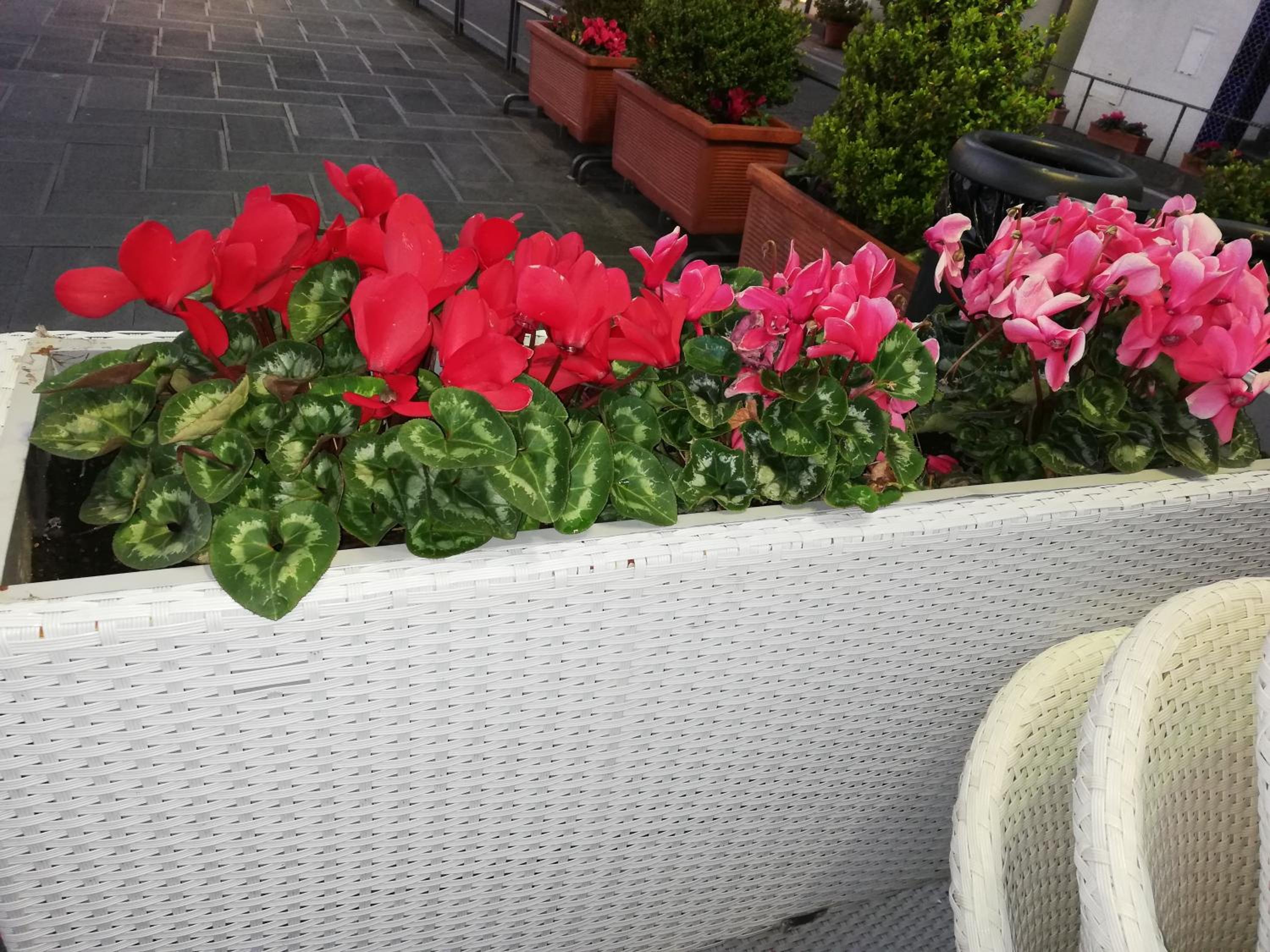 Apartment - Photo 41