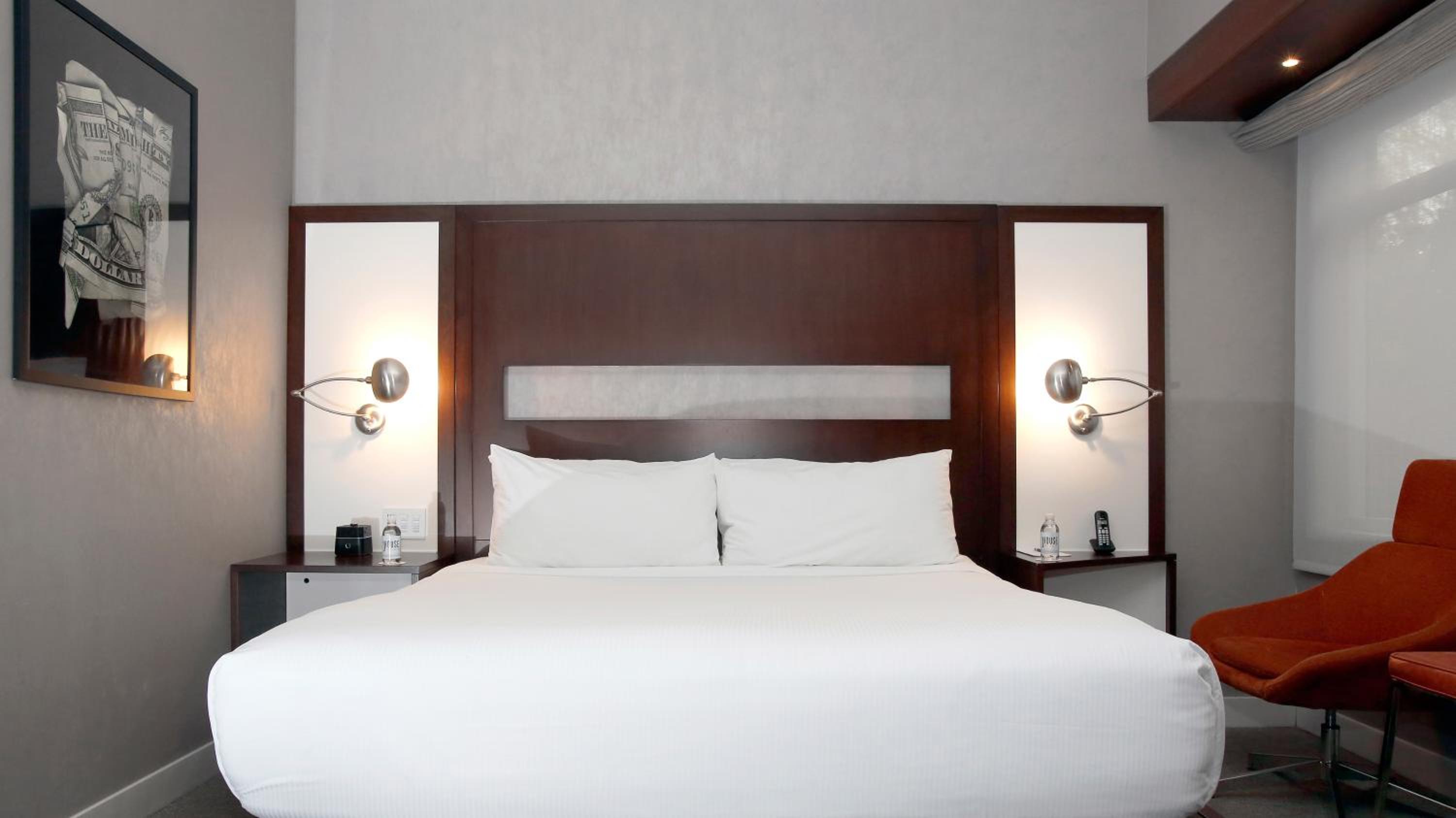 Suite - Photo 1