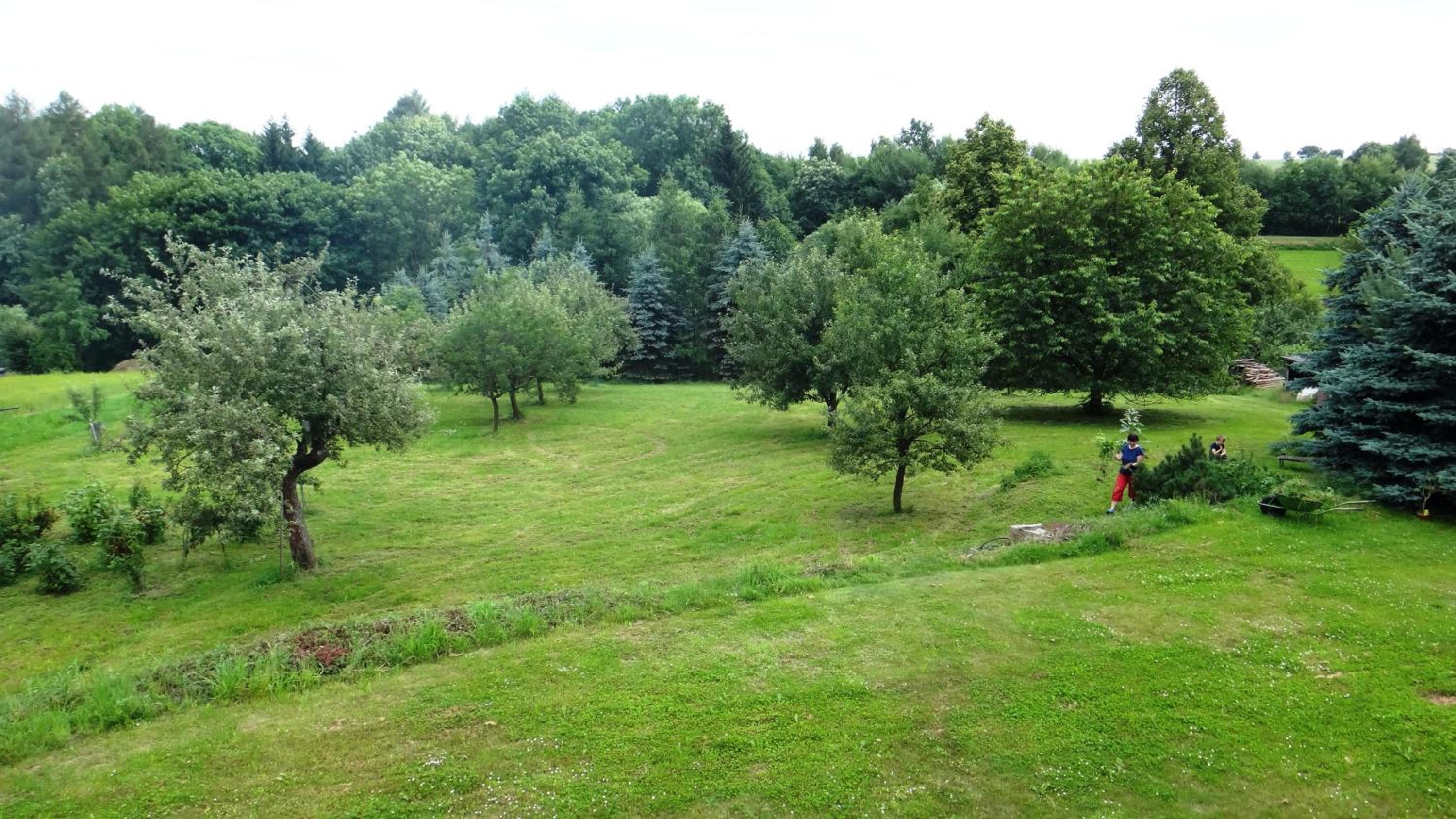 Vacation Home photo 3