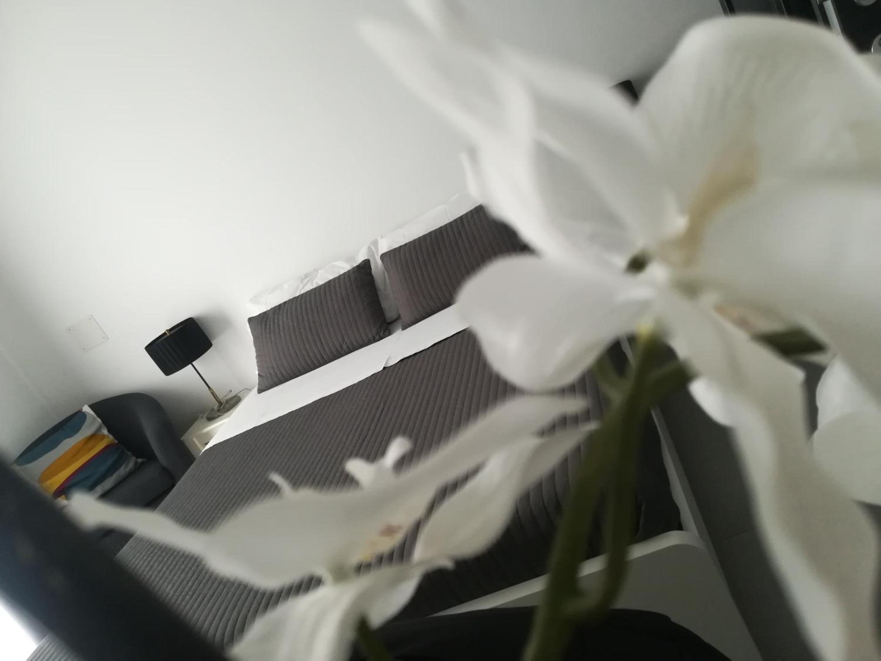 Triple Room with Balcony photo 1