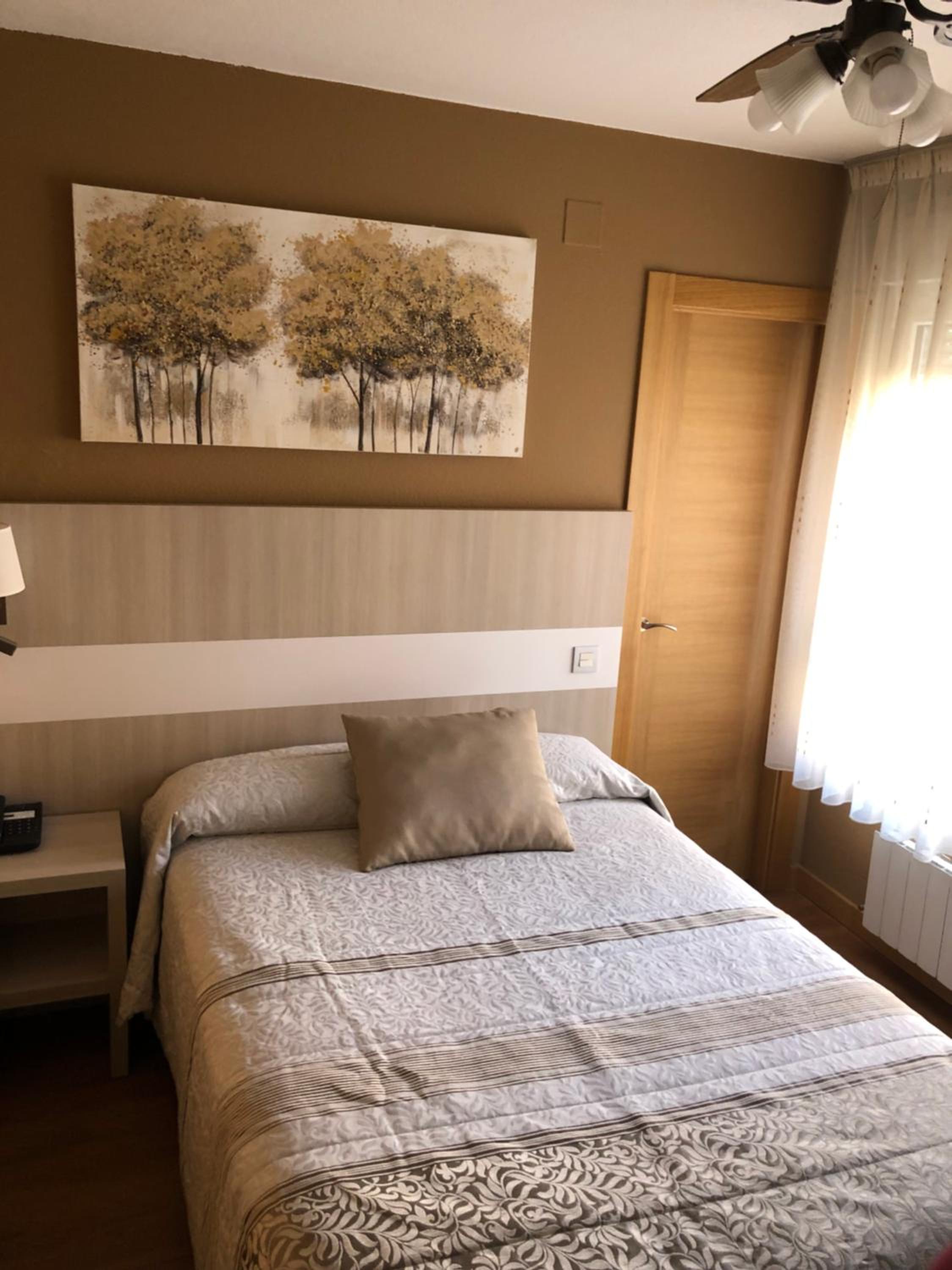 Single Room photo 2